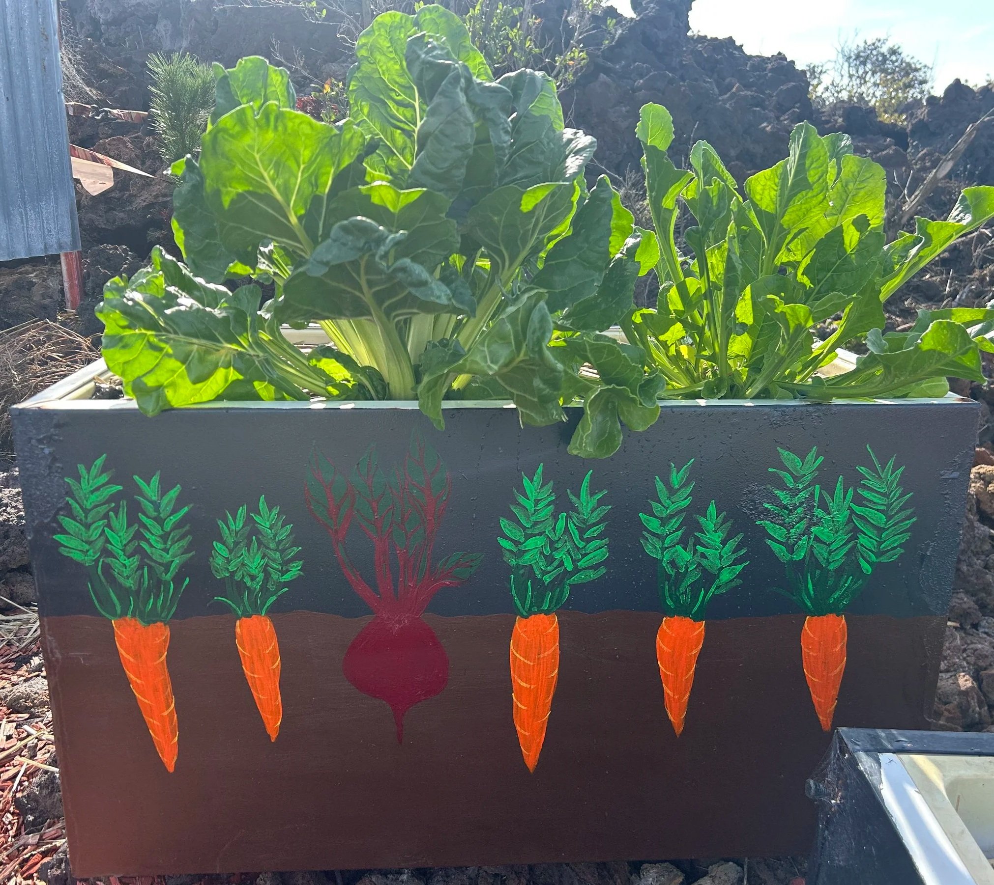 A refrigerator garden painted with carrots and a beets, with rainbow chard growing in it.