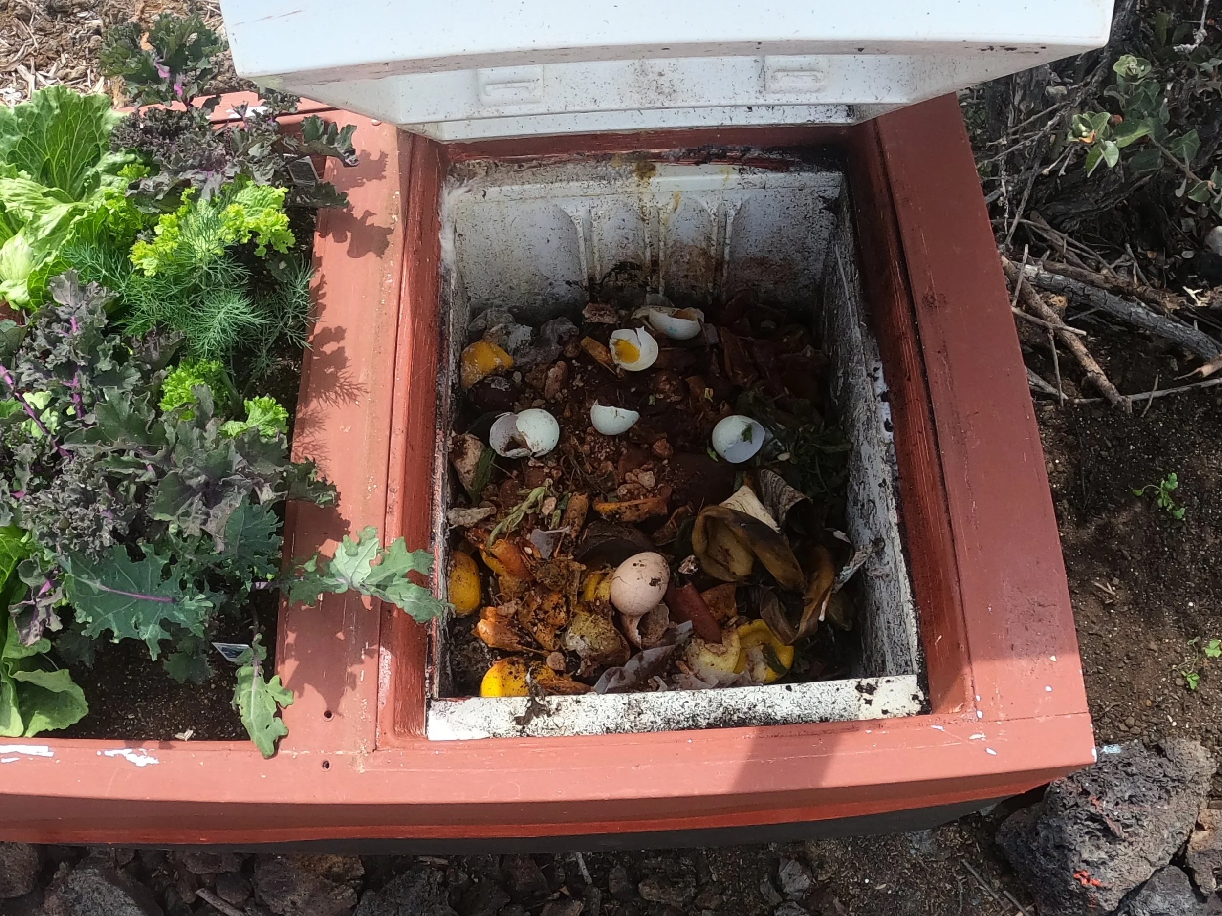 A partially open refrigerator composter with composted broken eggs, rotten vegetables, and spoiled food inside, surrounded by plants and soil.