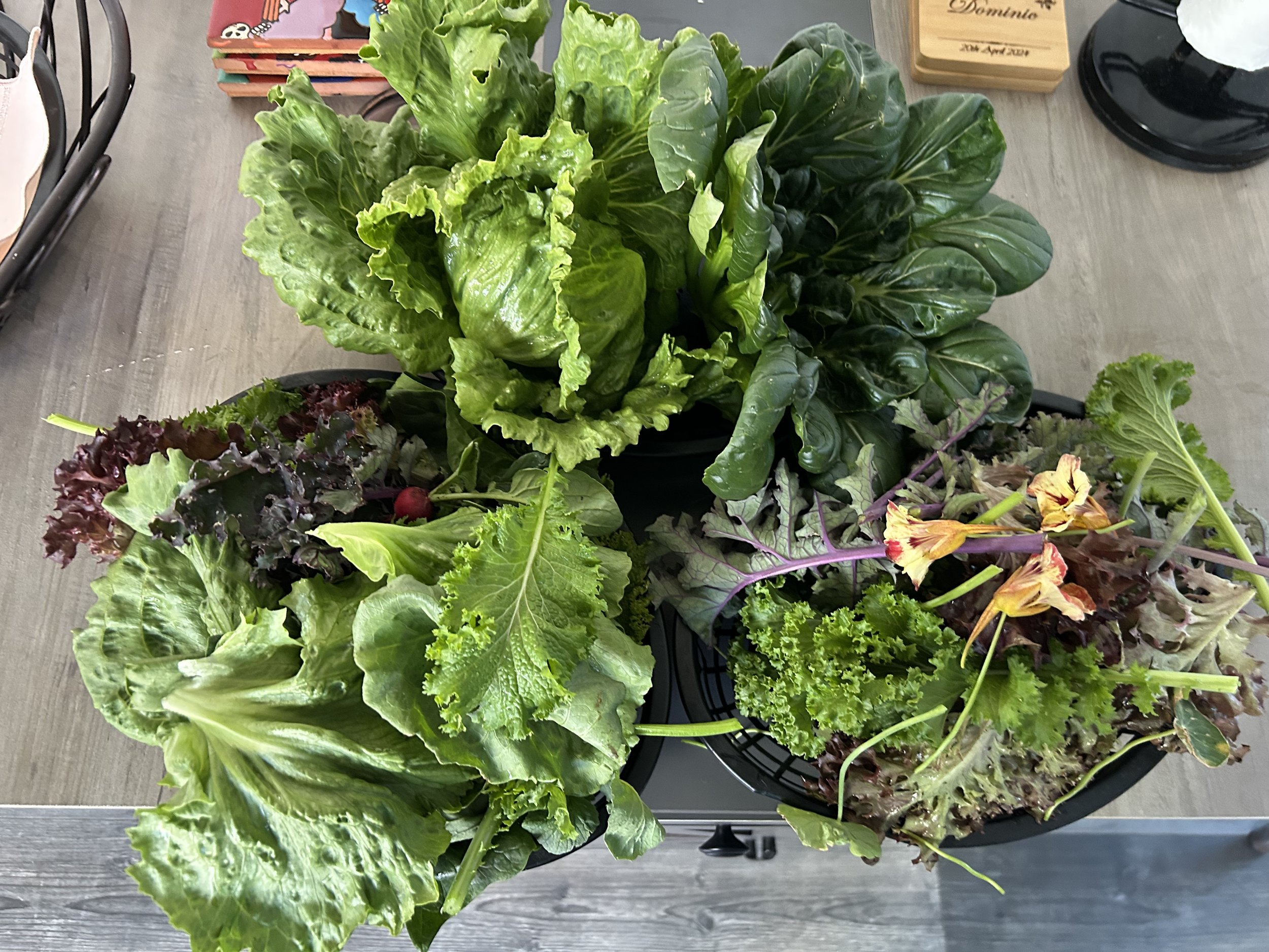 Assorted leafy salad greens including lettuce, kale, and herbs in a black basket on a wooden table.