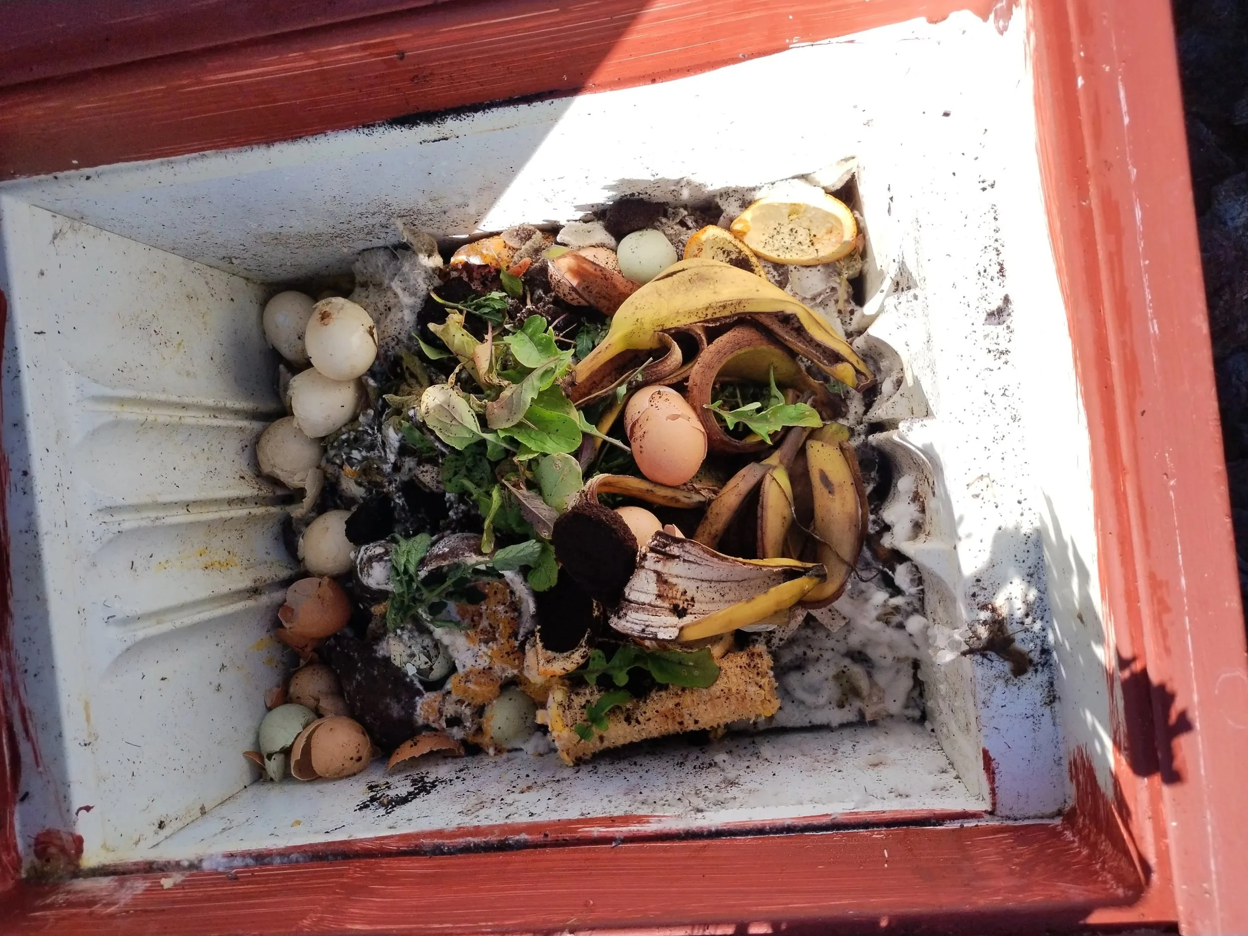 A compost bin filled with eggshells, banana peels, green leaves, and organic debris.