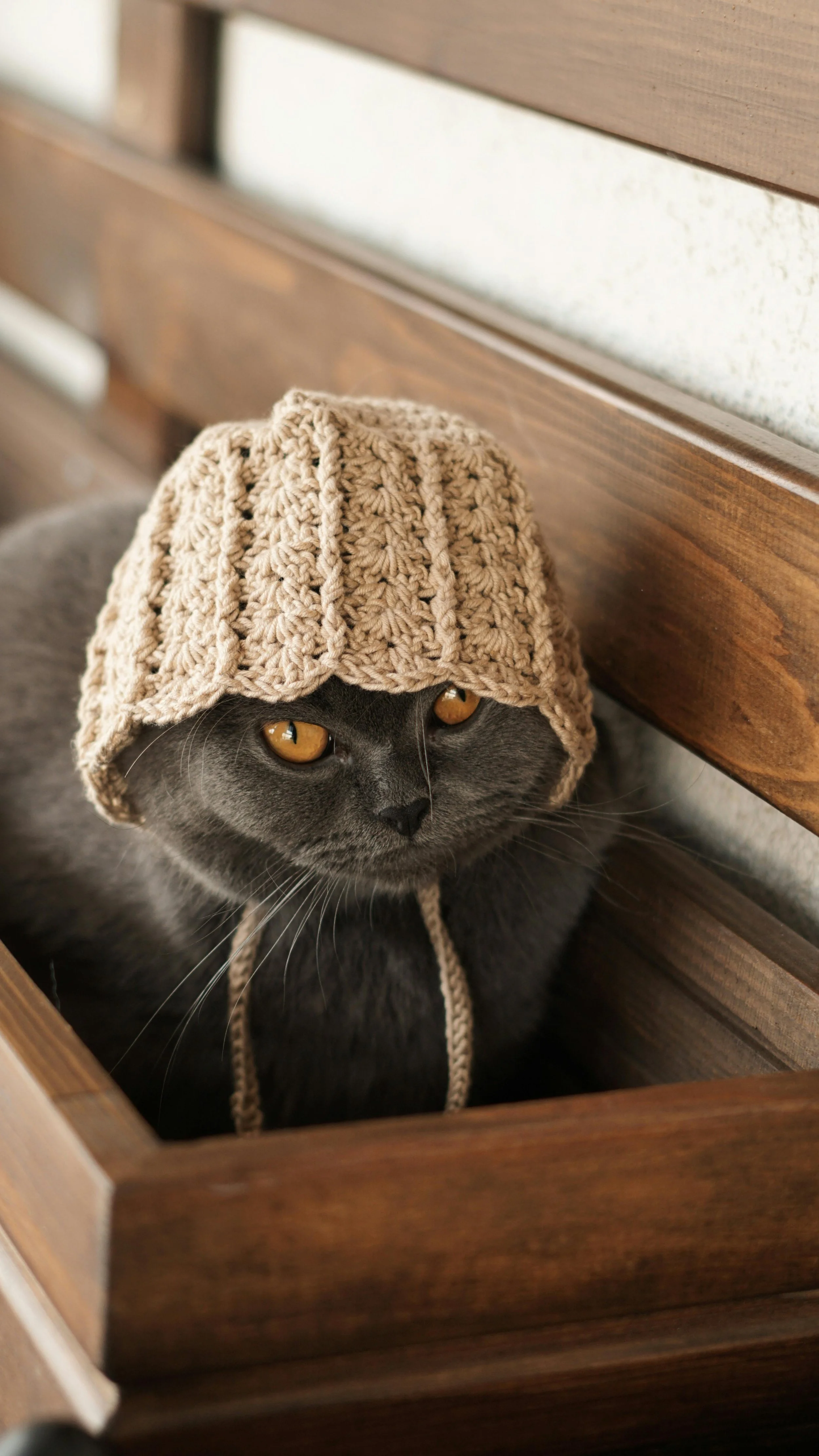 Silly old man hat for cat