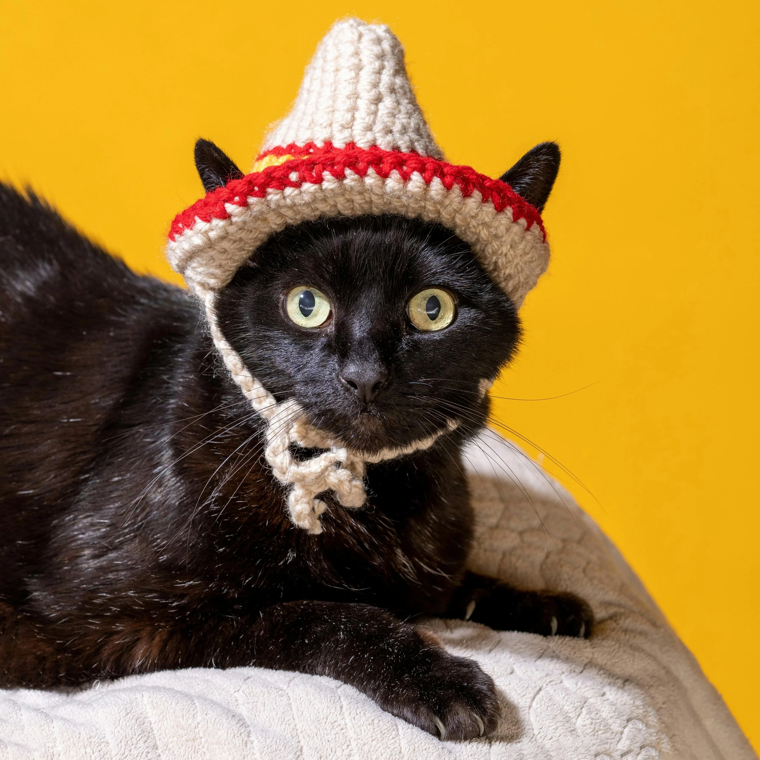 Sombrero