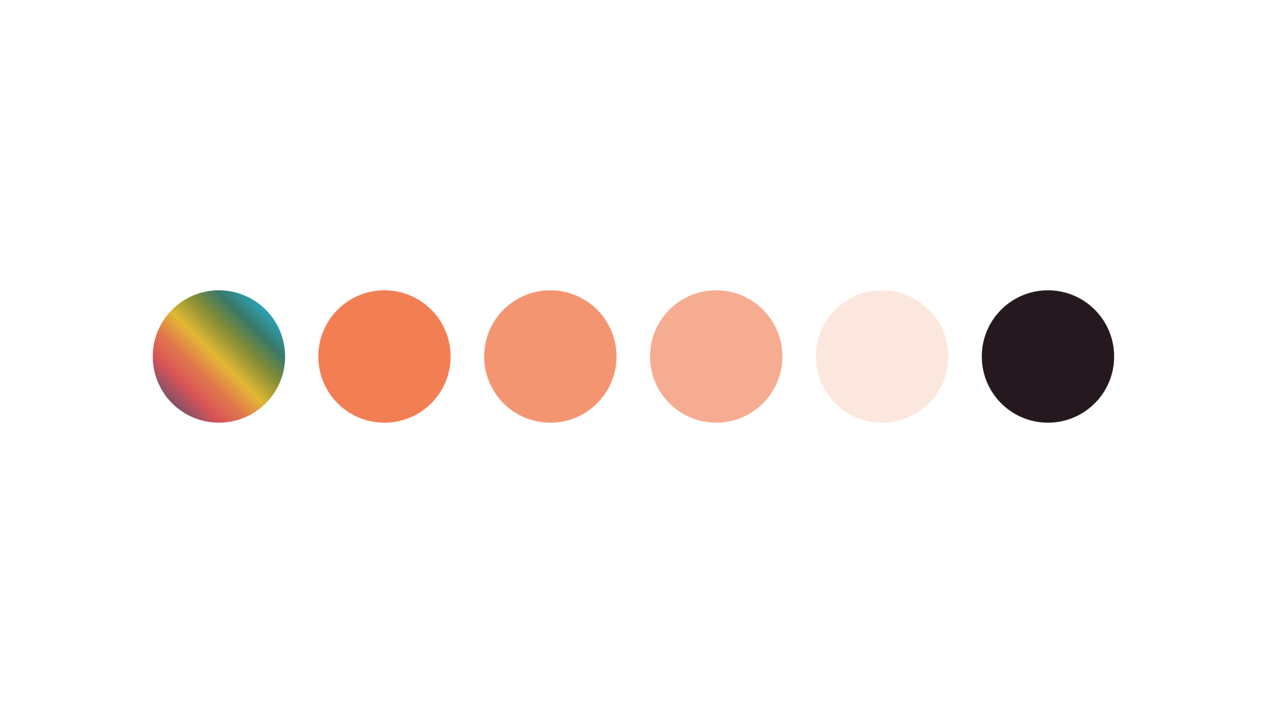 Colorful horizontal timeline with a rainbow-colored circle on the left and beige-to-black gradient bars extending rightward.