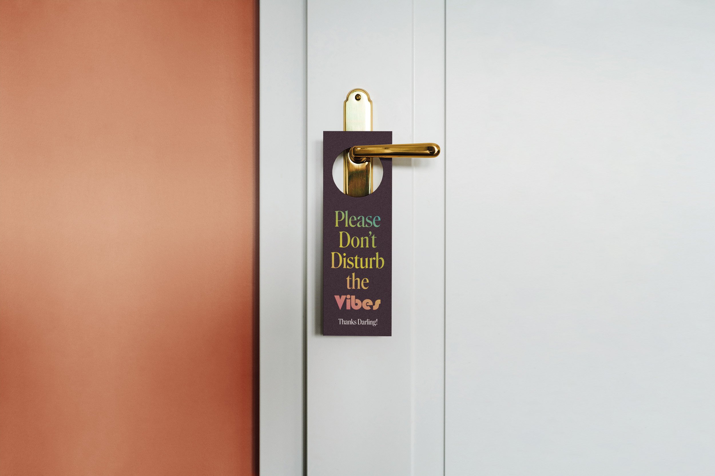A door with a brass doorknob and a 'Please Don't Disturb the Vibe' sign hanging on it. The door has white panels, and the wall to the left of the door is painted in a muted pink color.