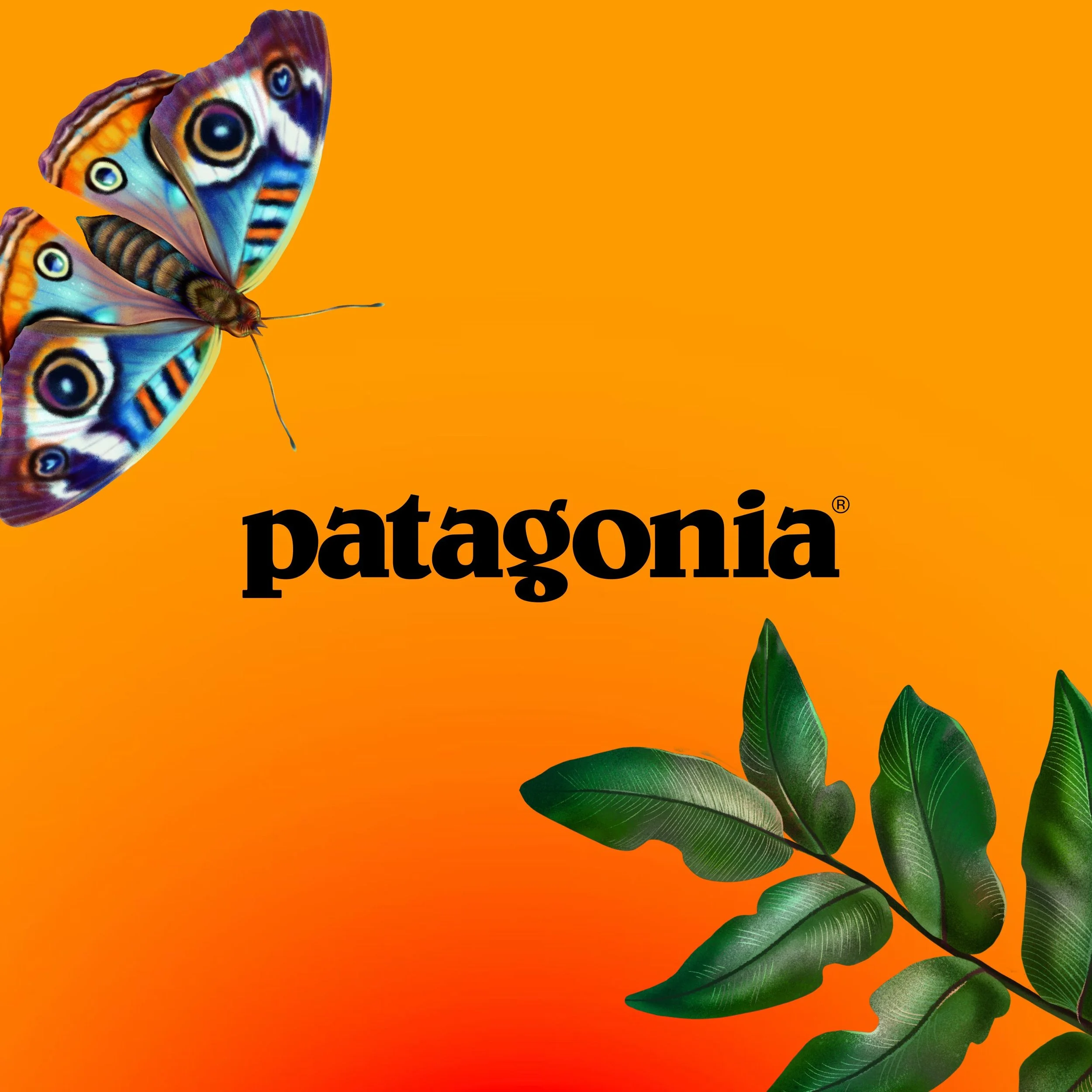 S2.Ep10 – Patagonia