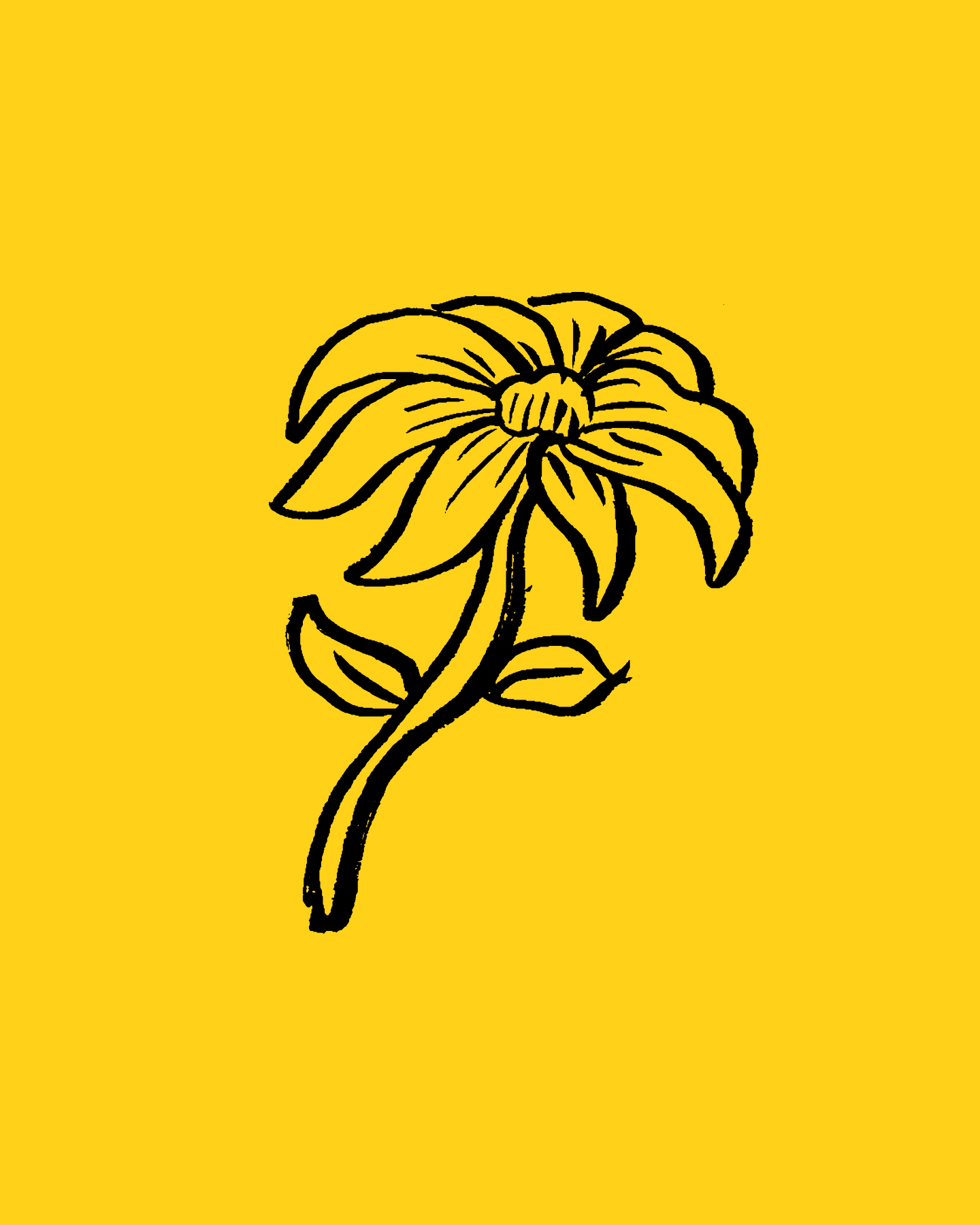 A stylized black outline of a flower, possibly a sunflower, set against a solid yellow background.
