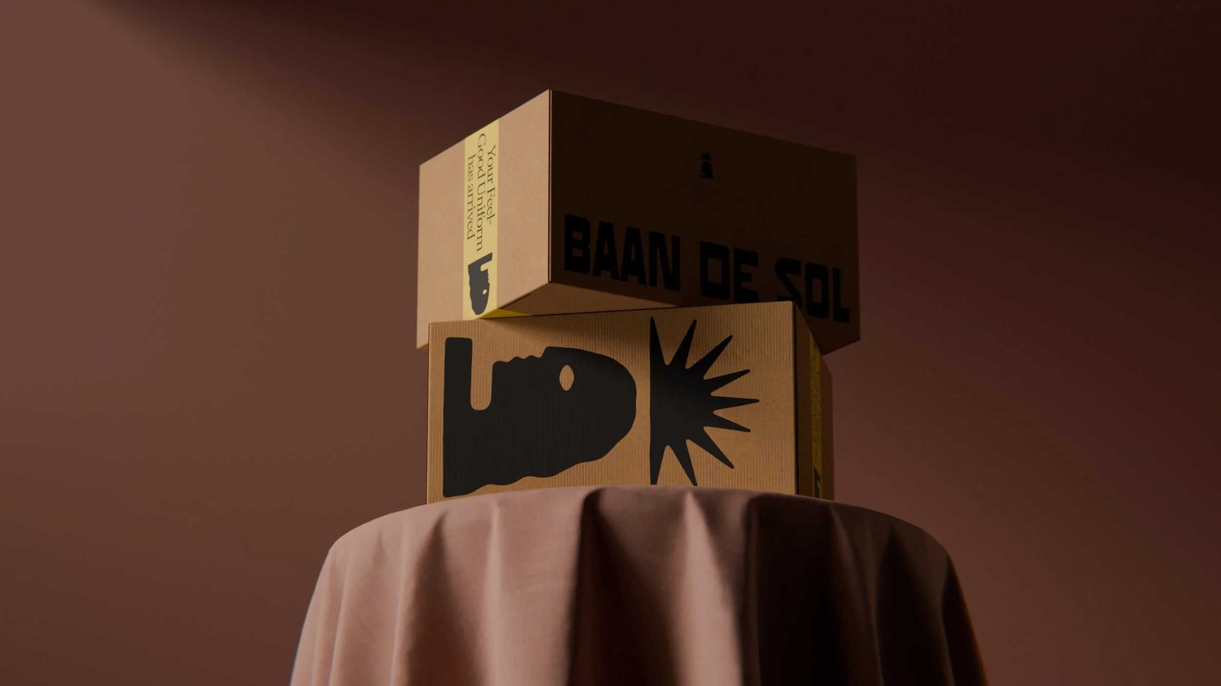 A person wearing a beige shirt is holding a cardboard box with a black lid that has the words "BAAN DE SOL" printed on it. The top box has a yellow label with a black pig icon and the text "Your Feel Good Unicorn has arrived." The background is plain brown.