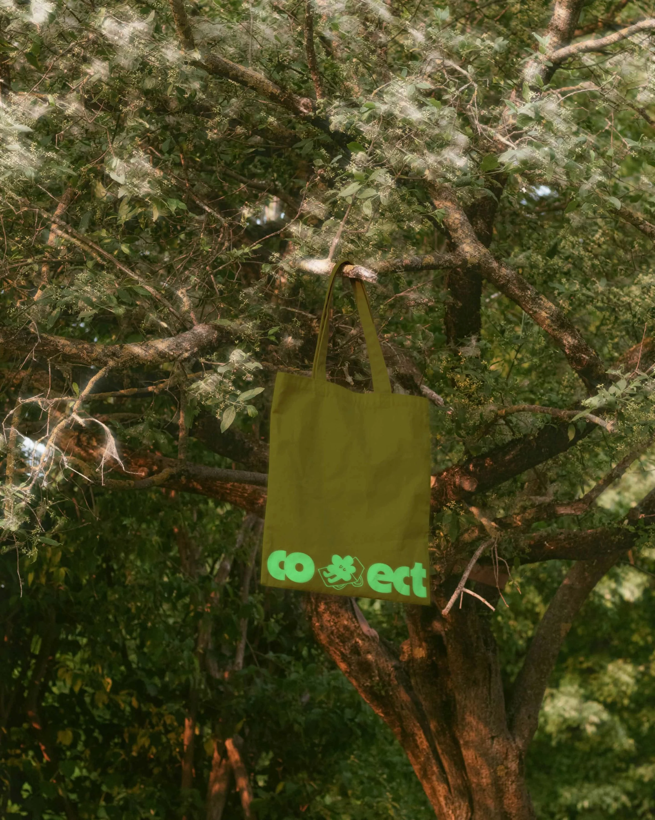A green environmental awareness bag hanging on a tree branch among green leaves.