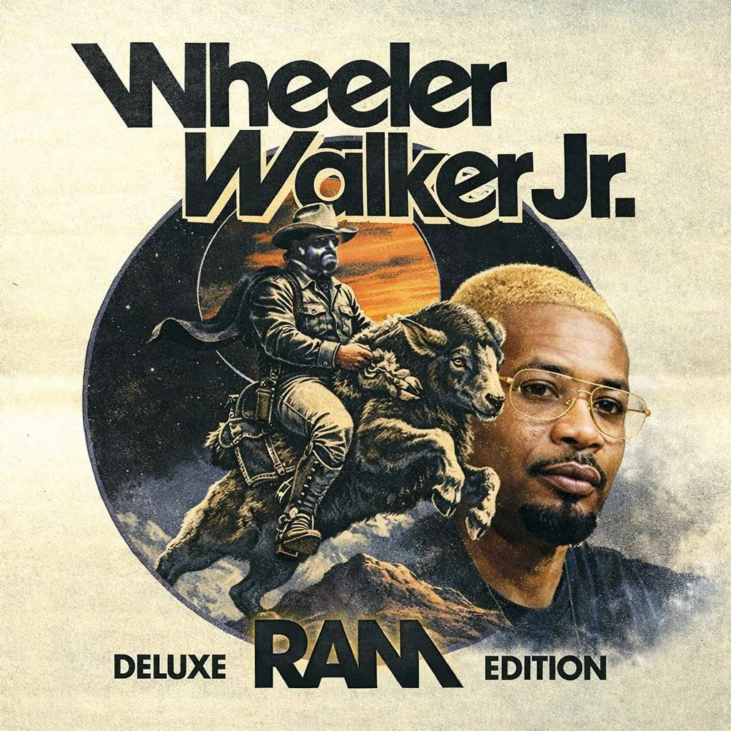 WHEELER WALKER JR + DANNY BROWN - MONEY N BITCHES