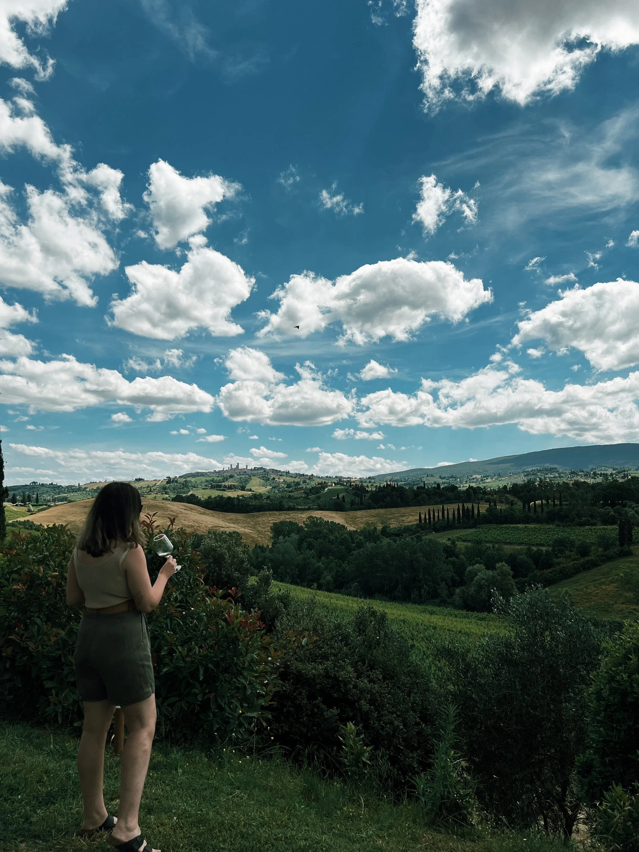 A woman stands in a lush green vineyard holding a glass of red wine, looking towards rolling hills covered in fields and trees under a sky with scattered clouds.