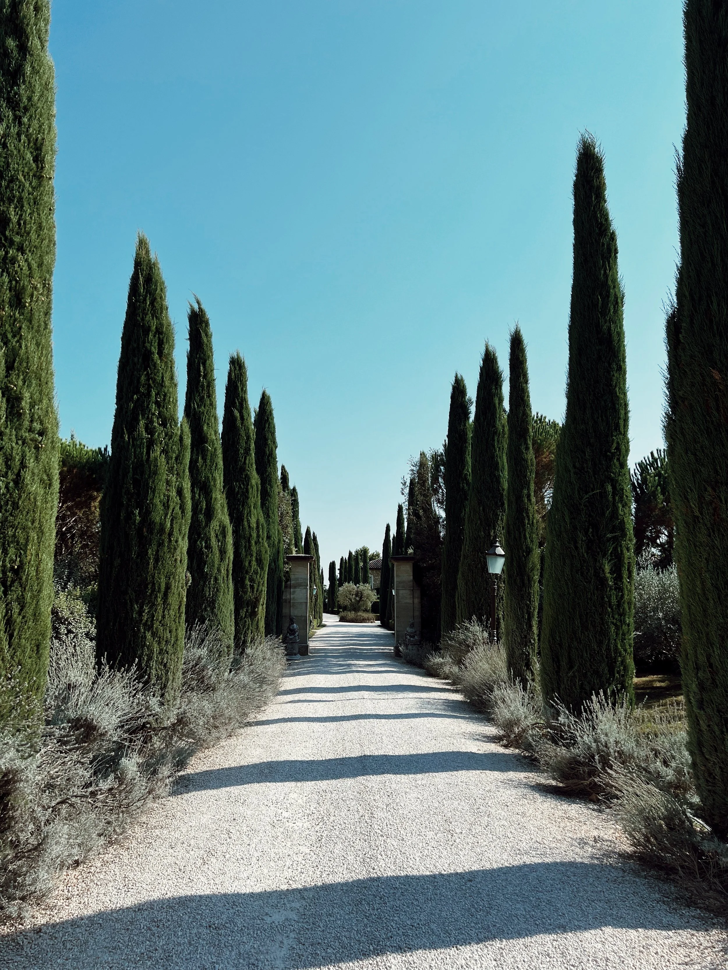 A gravel pathway lined with tall, green cypress trees on either side, leading to an entrance with stone pillars and lanterns, under a clear blue sky.