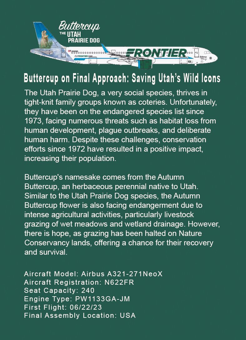 Buttercup_Side_2.jpg