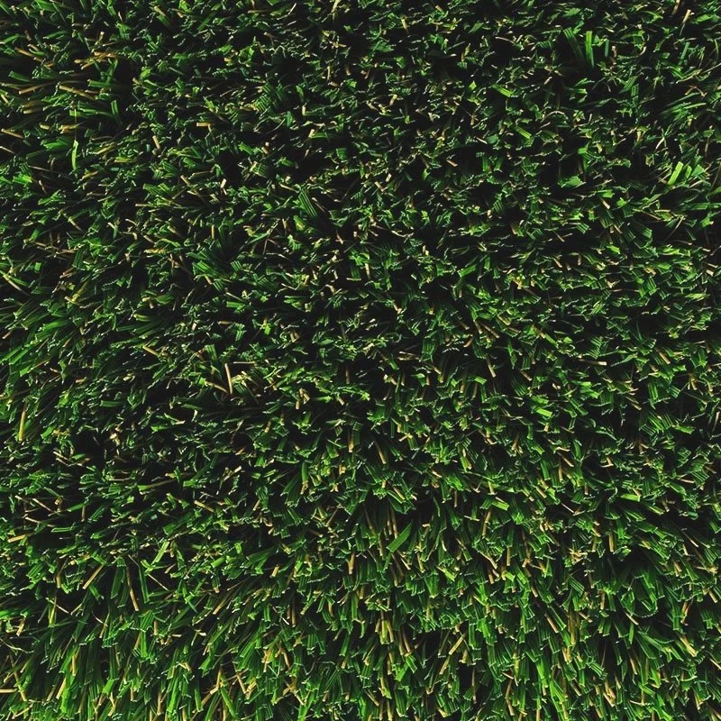Cypress Bluff Rough.jpg
