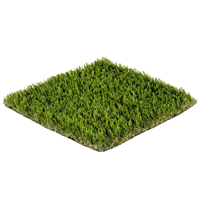 Untitled design.png