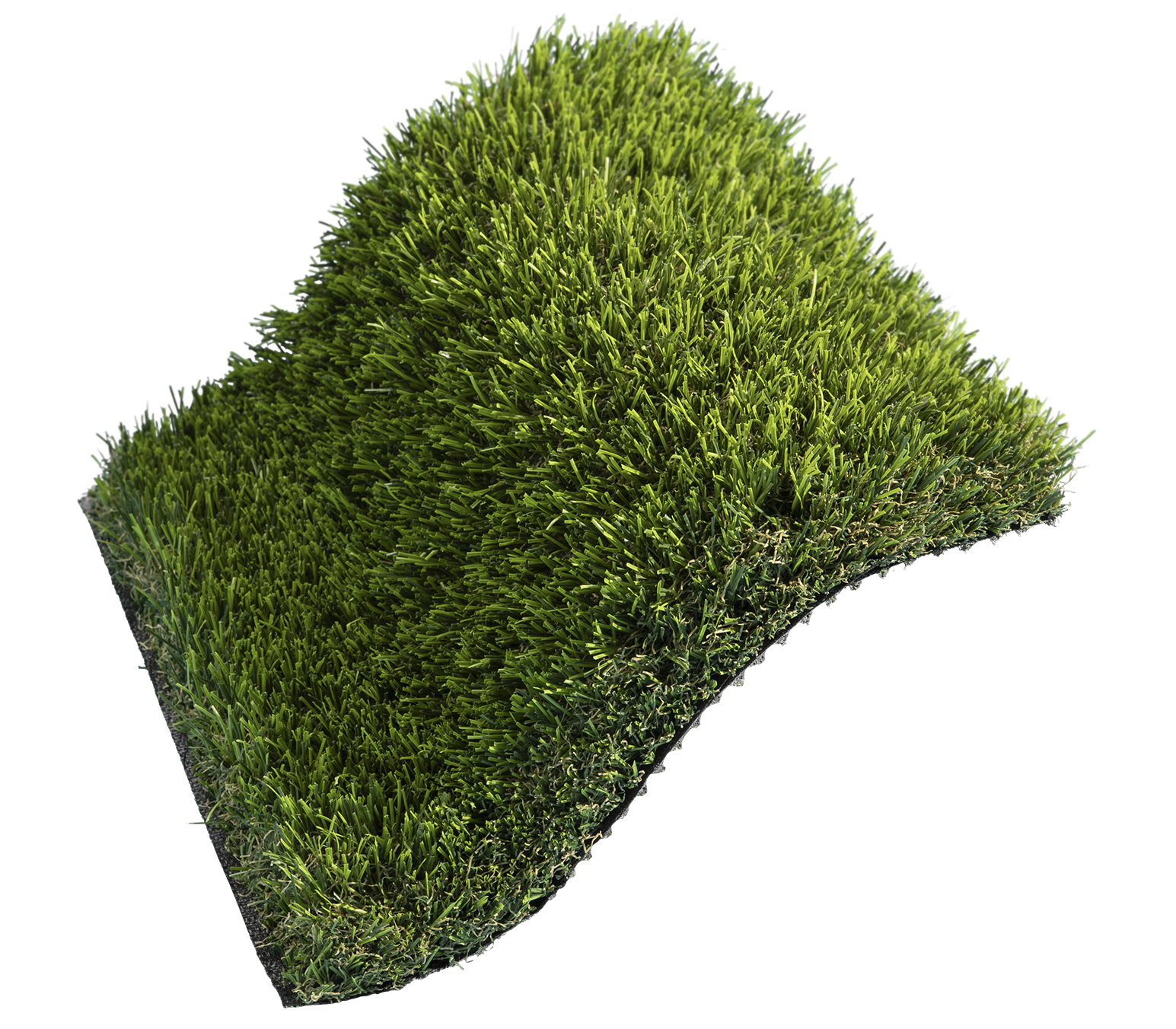 Eco-82-Dynamic-01.png