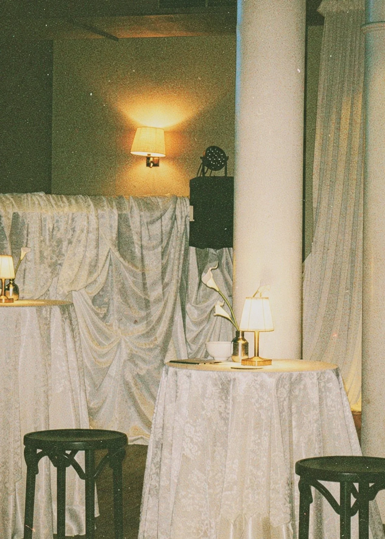 Tezza-6527.jpg