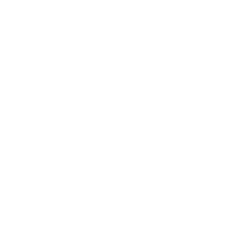 Balloons icon representing QA Entertainment private party DJ services
