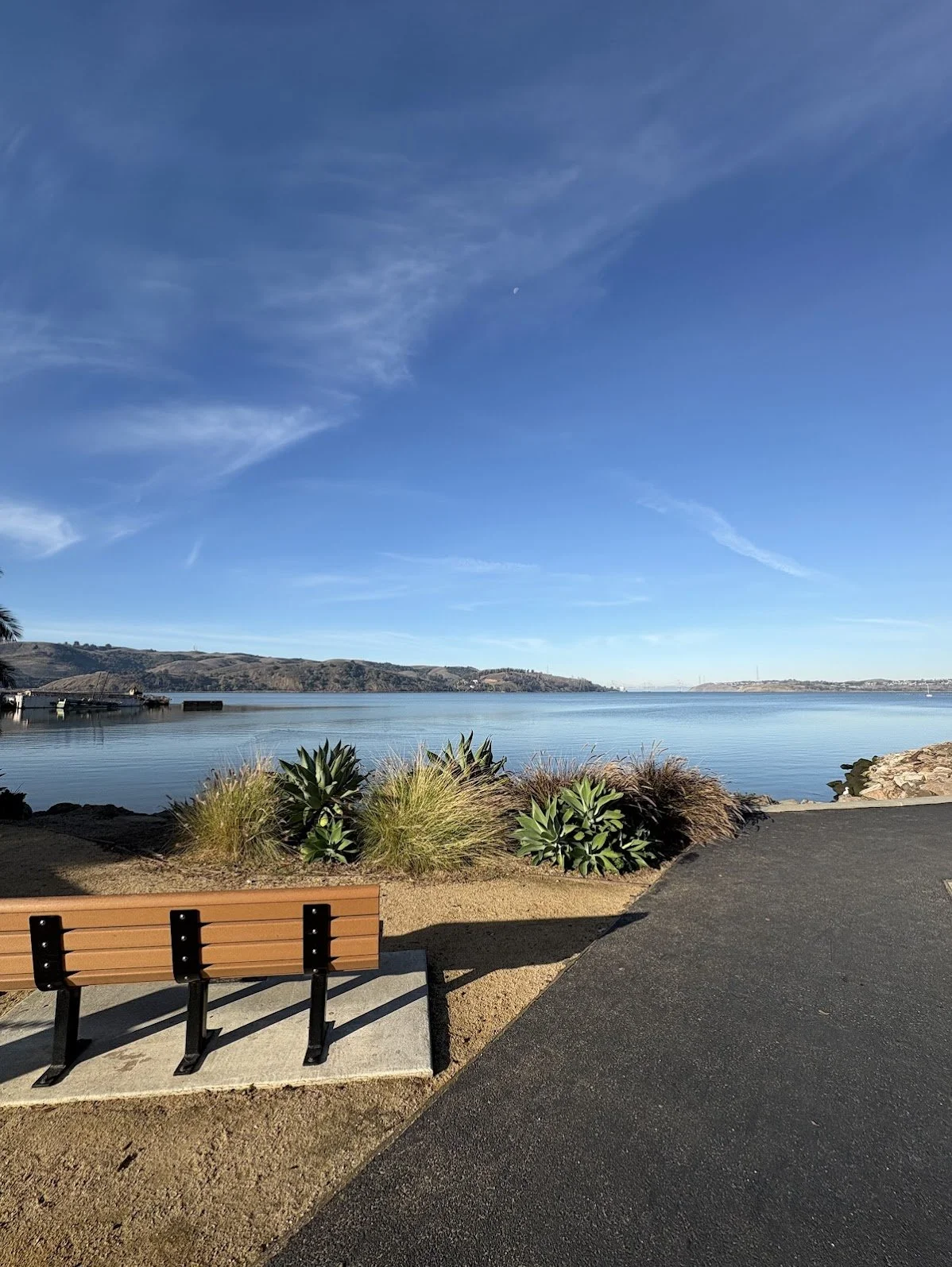 A park with a wooden bench, decorative plants, and a view of a calm lake with distant hills under a clear blue sky.