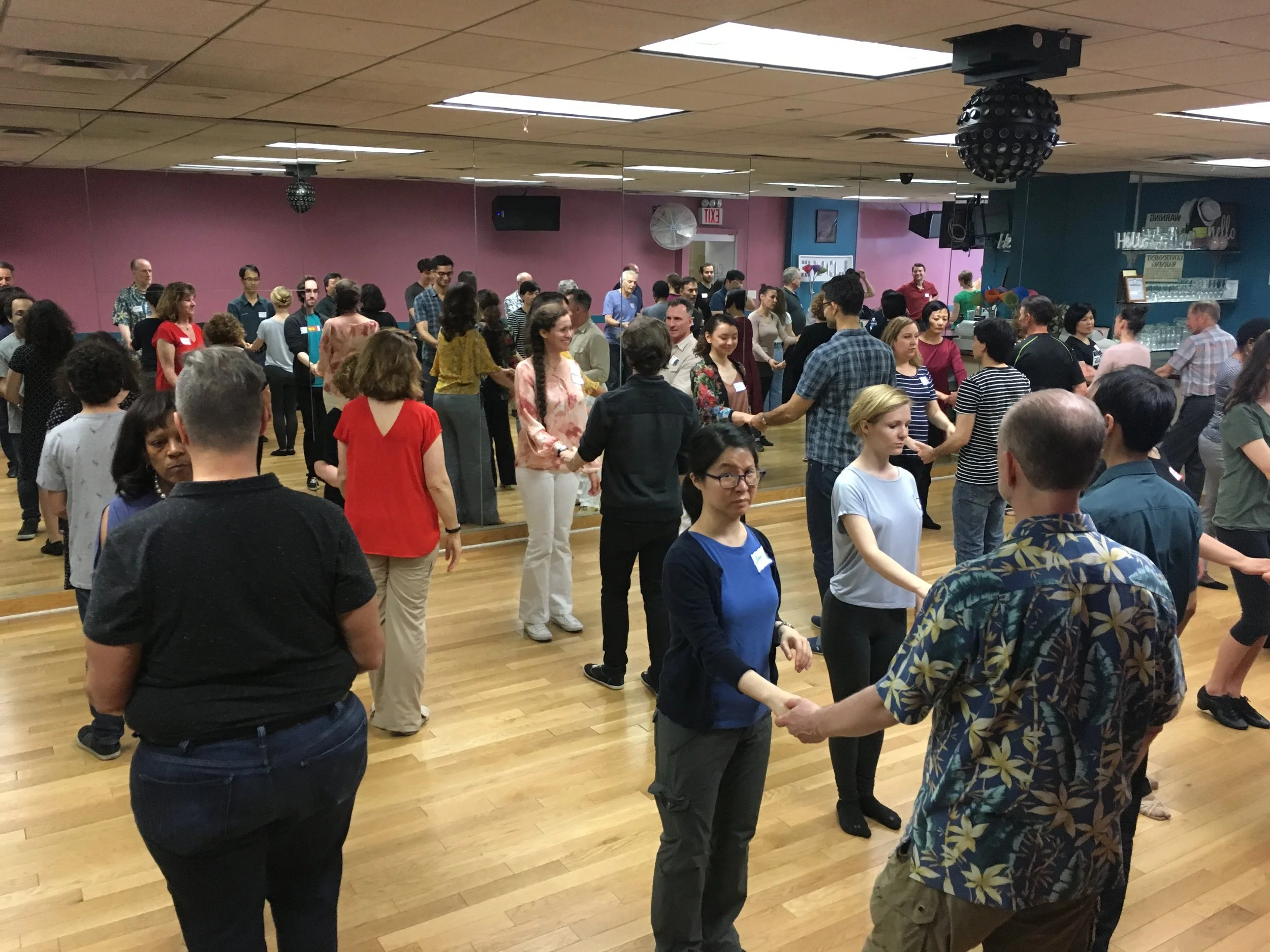 The International Partner Dance Intensive (TIPDI)