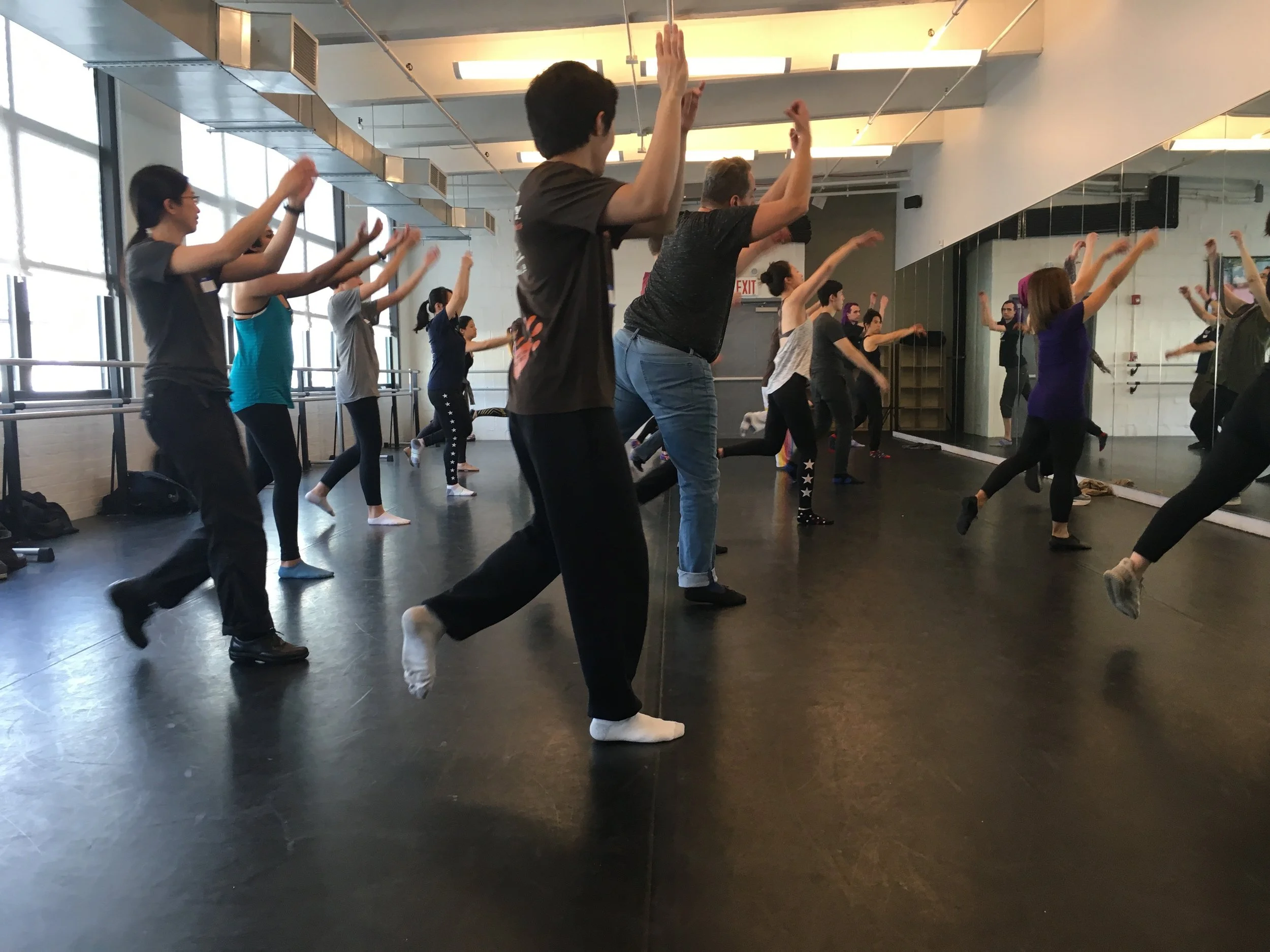 The International Partner Dance Intensive (TIPDI)