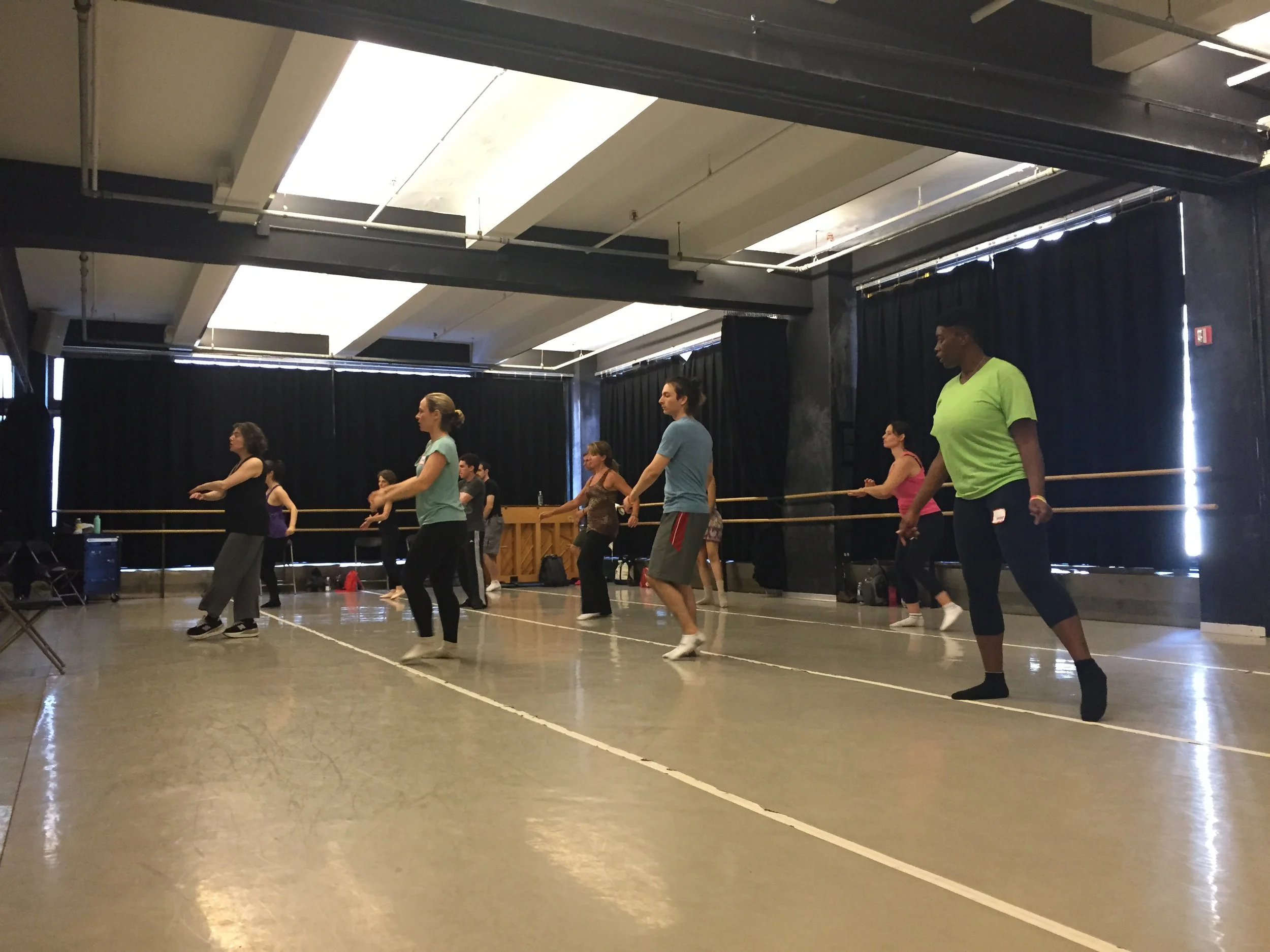 The International Partner Dance Intensive (TIPDI)