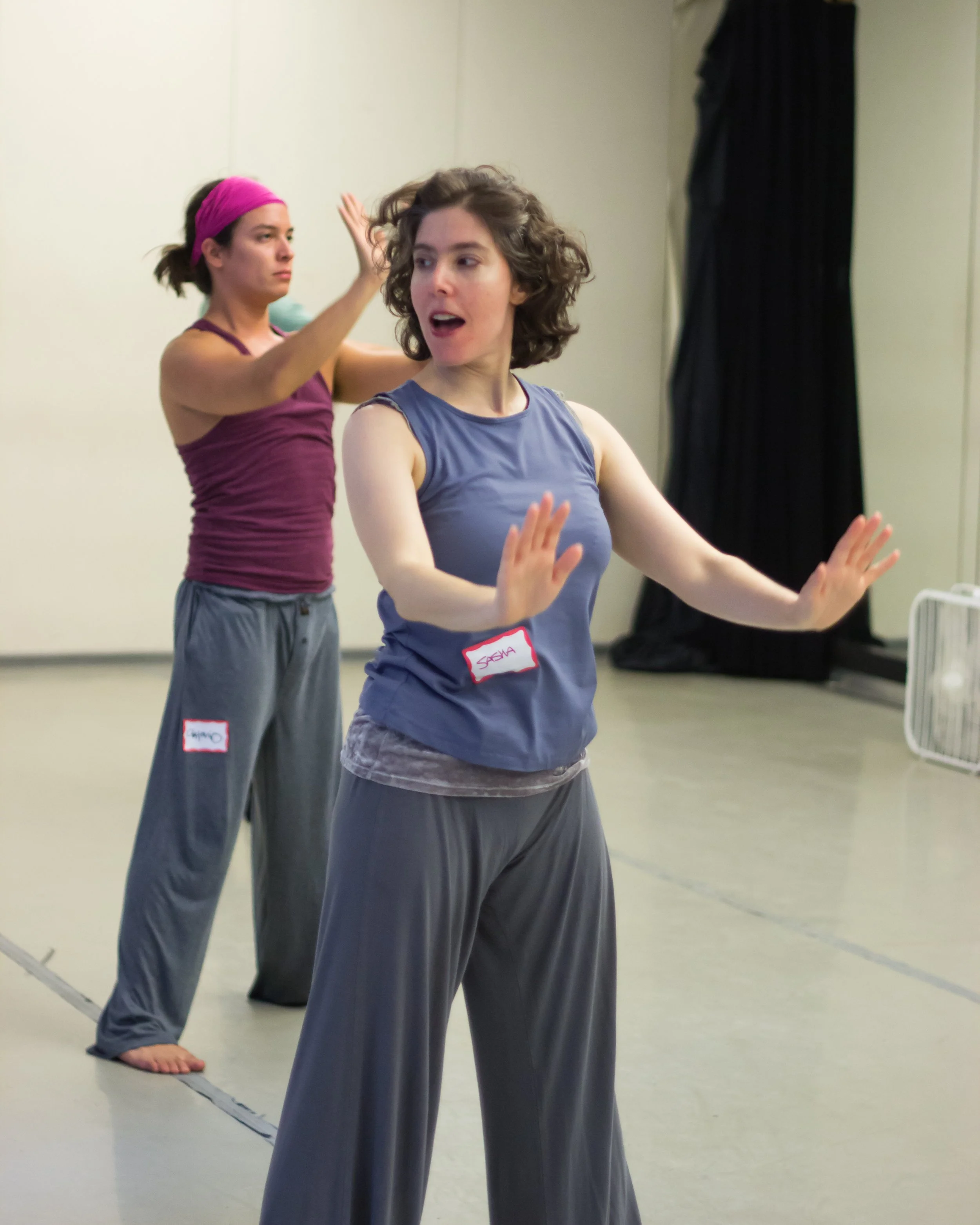 The International Partner Dance Intensive (TIPDI)