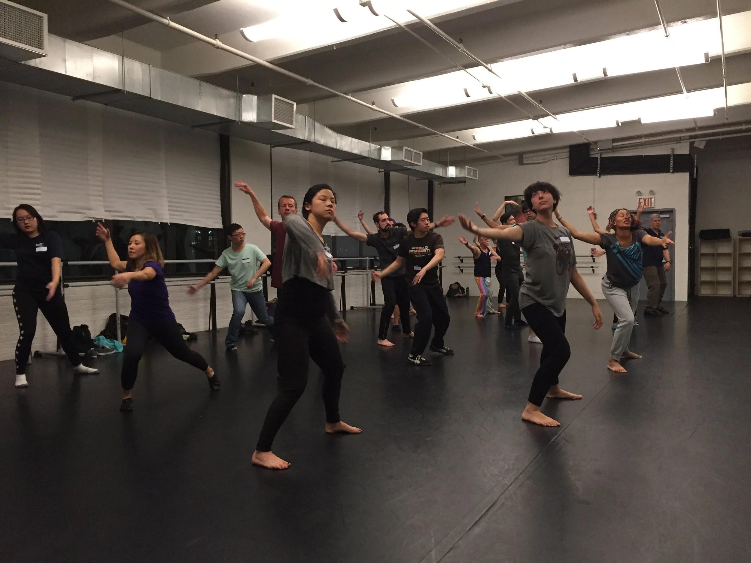 The International Partner Dance Intensive (TIPDI)