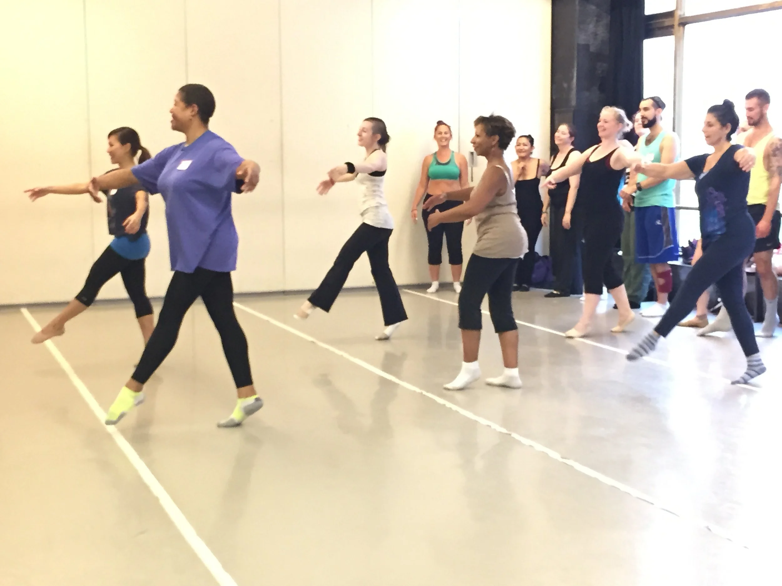 The International Partner Dance Intensive (TIPDI)