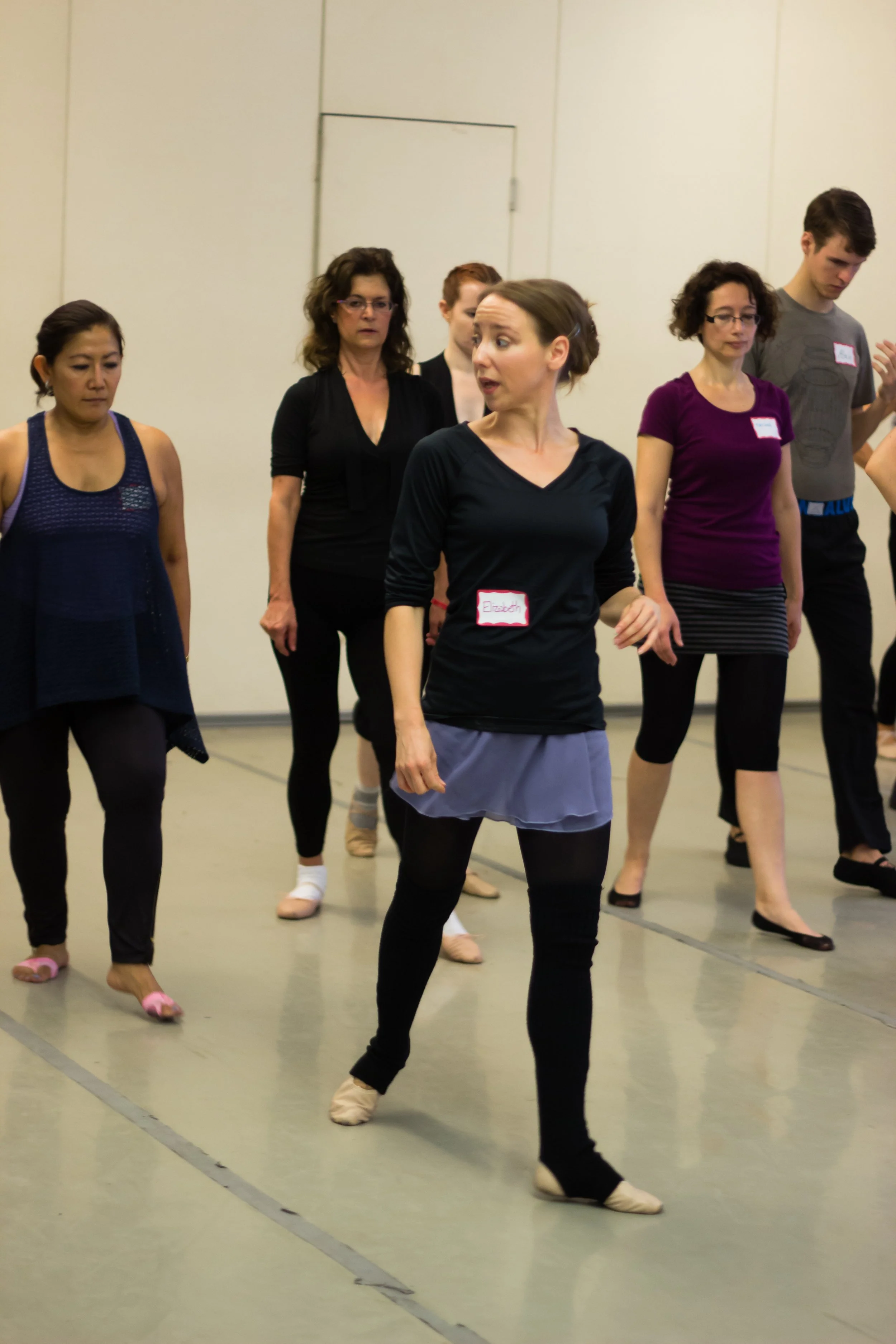 The International Partner Dance Intensive (TIPDI)