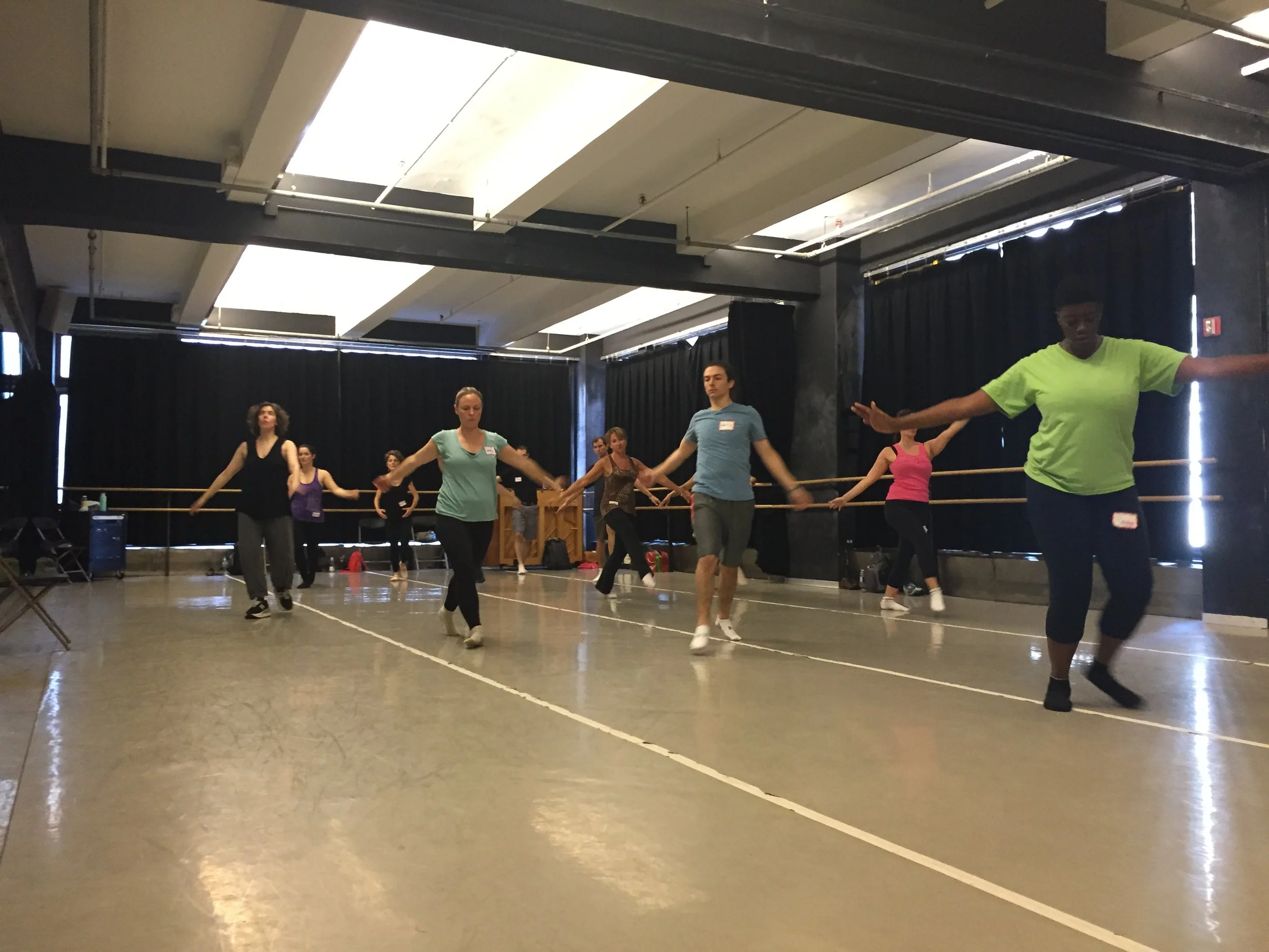 The International Partner Dance Intensive (TIPDI)