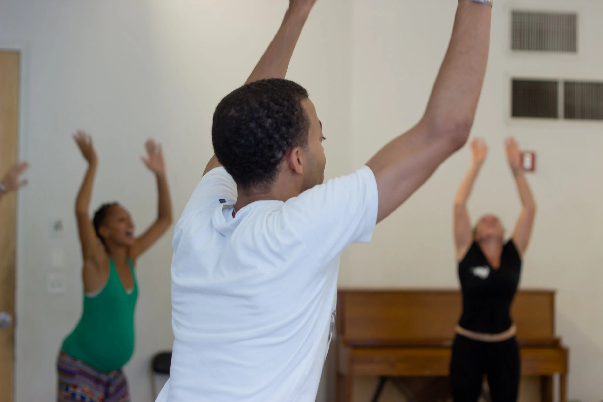 The International Partner Dance Intensive (TIPDI)