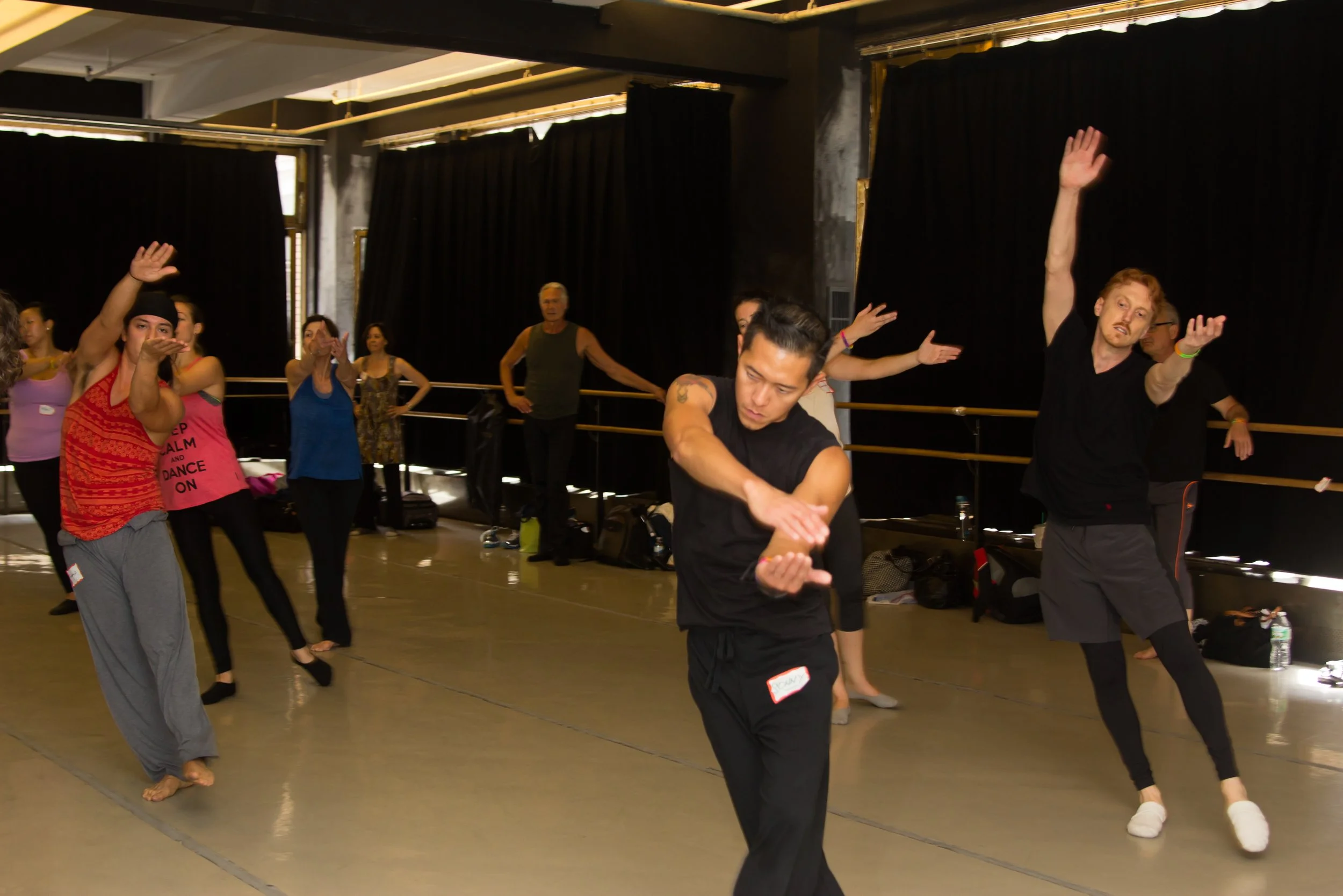 The International Partner Dance Intensive (TIPDI)