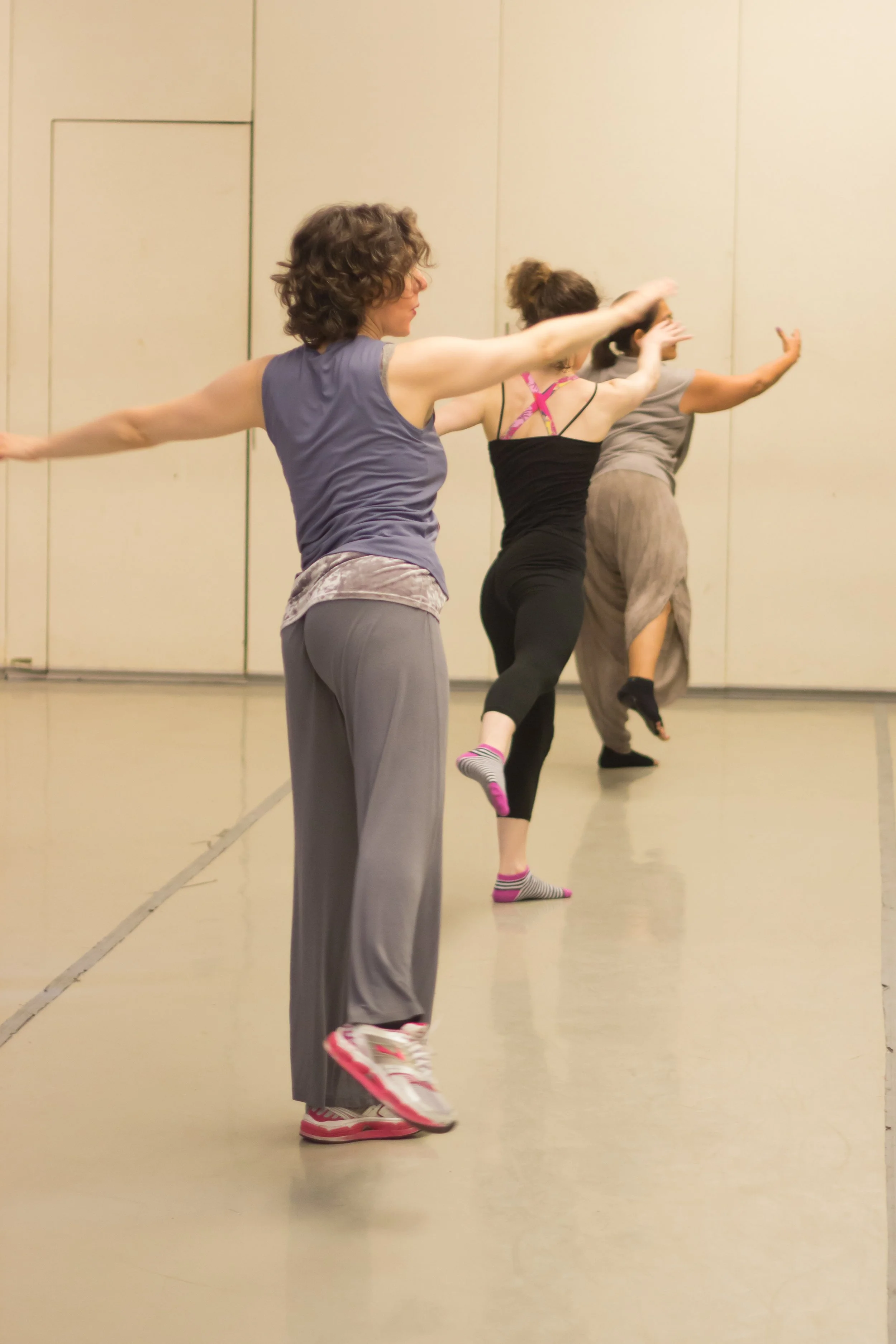 The International Partner Dance Intensive (TIPDI)