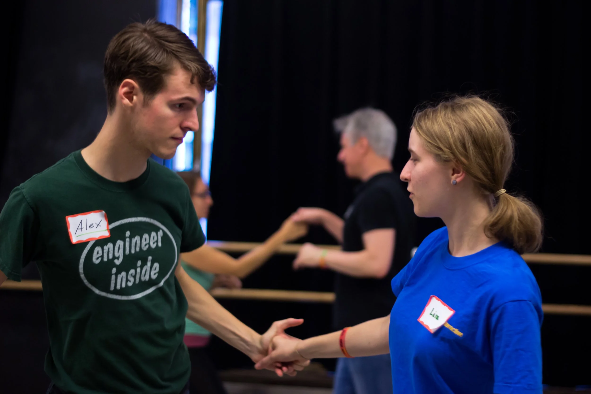 The International Partner Dance Intensive (TIPDI)