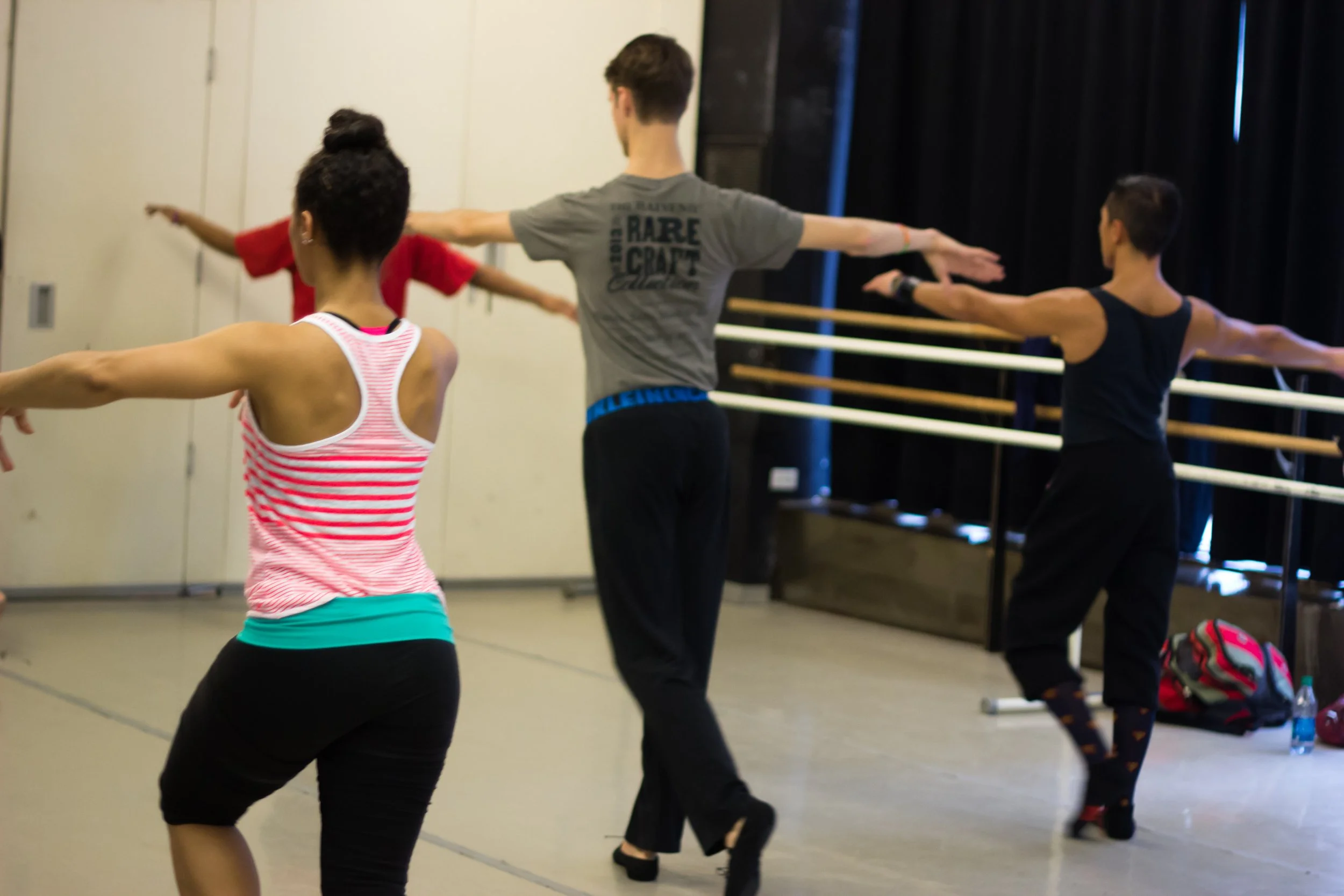 The International Partner Dance Intensive (TIPDI)