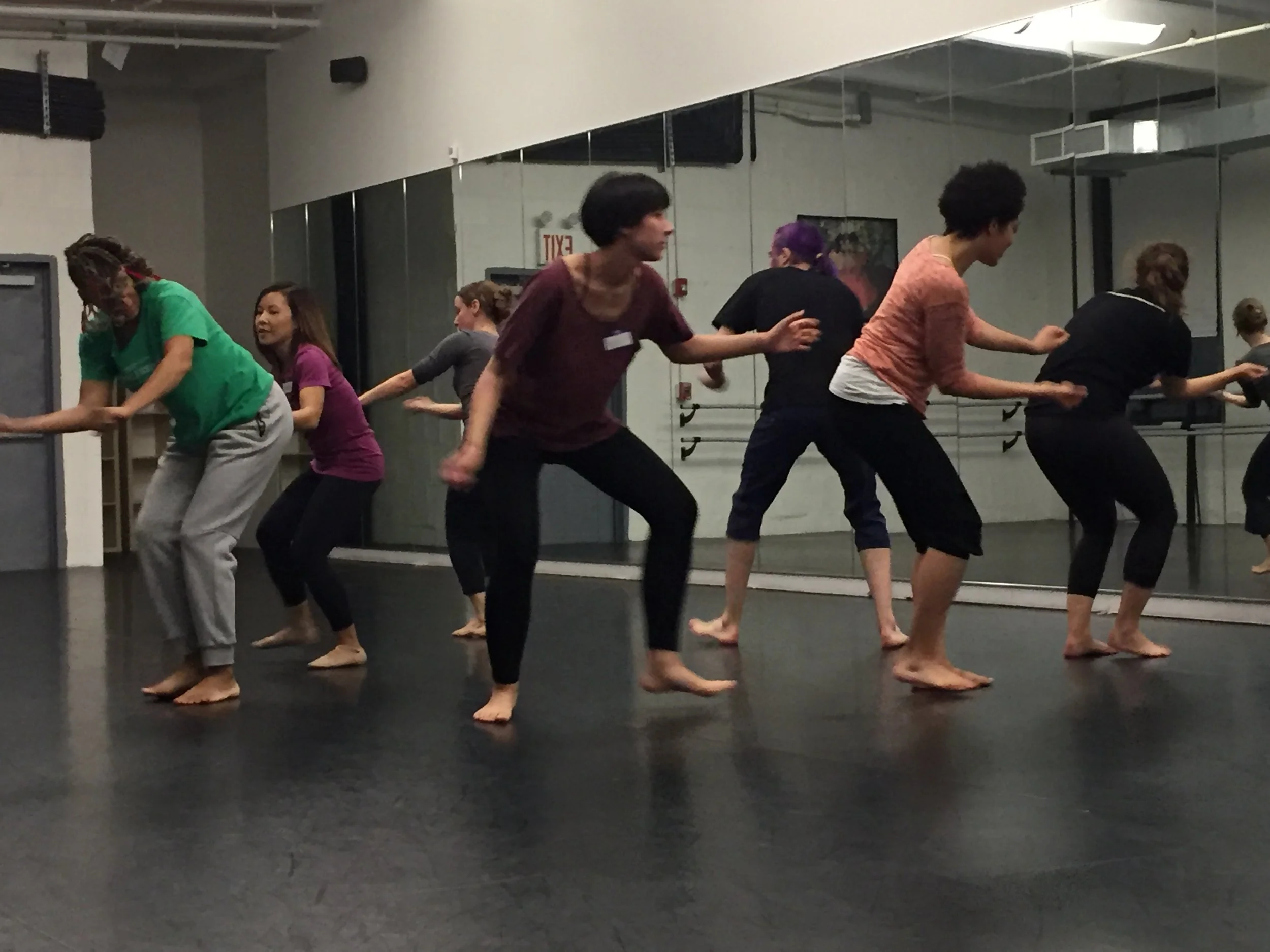 The International Partner Dance Intensive (TIPDI)