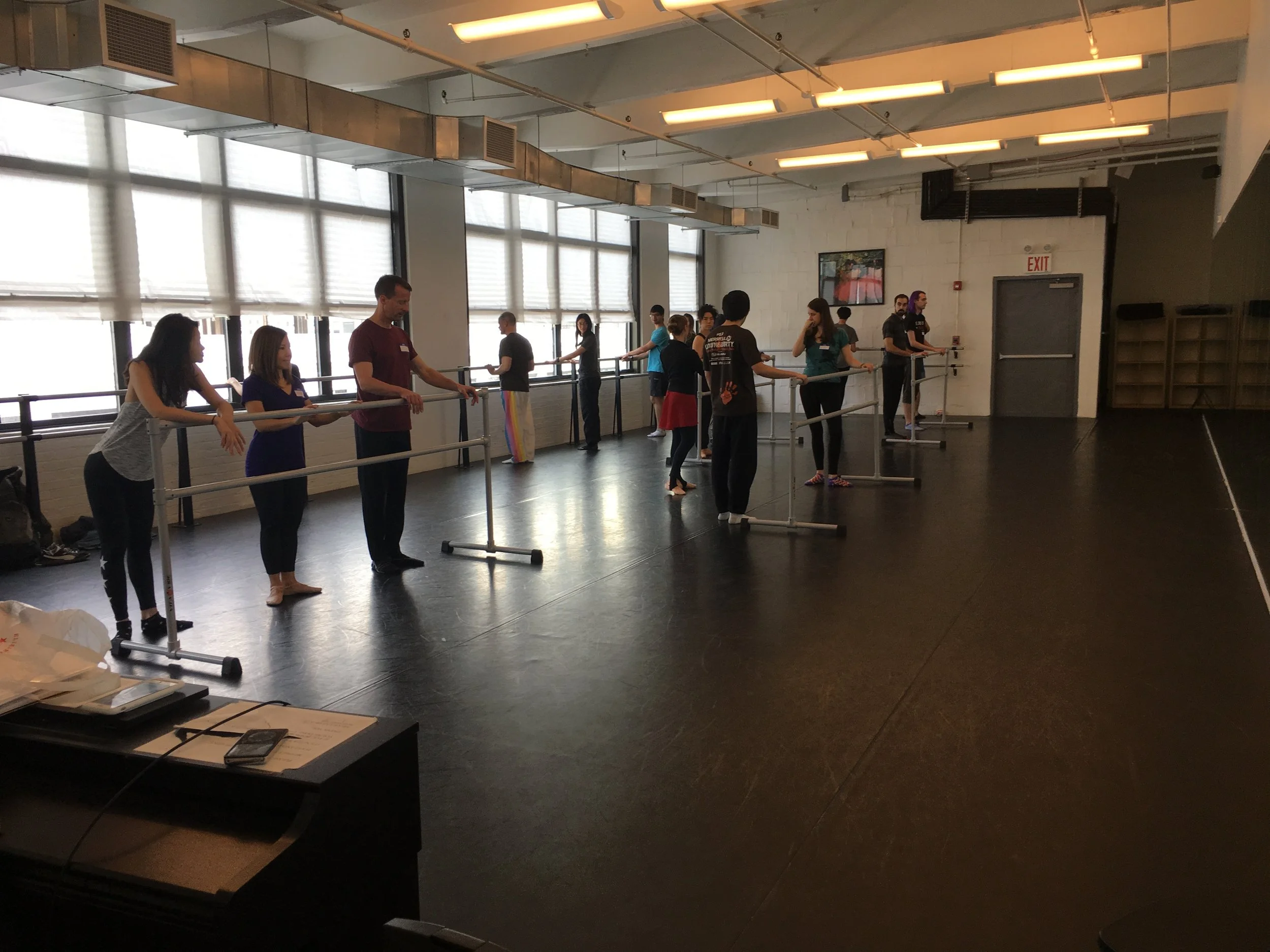 The International Partner Dance Intensive (TIPDI)