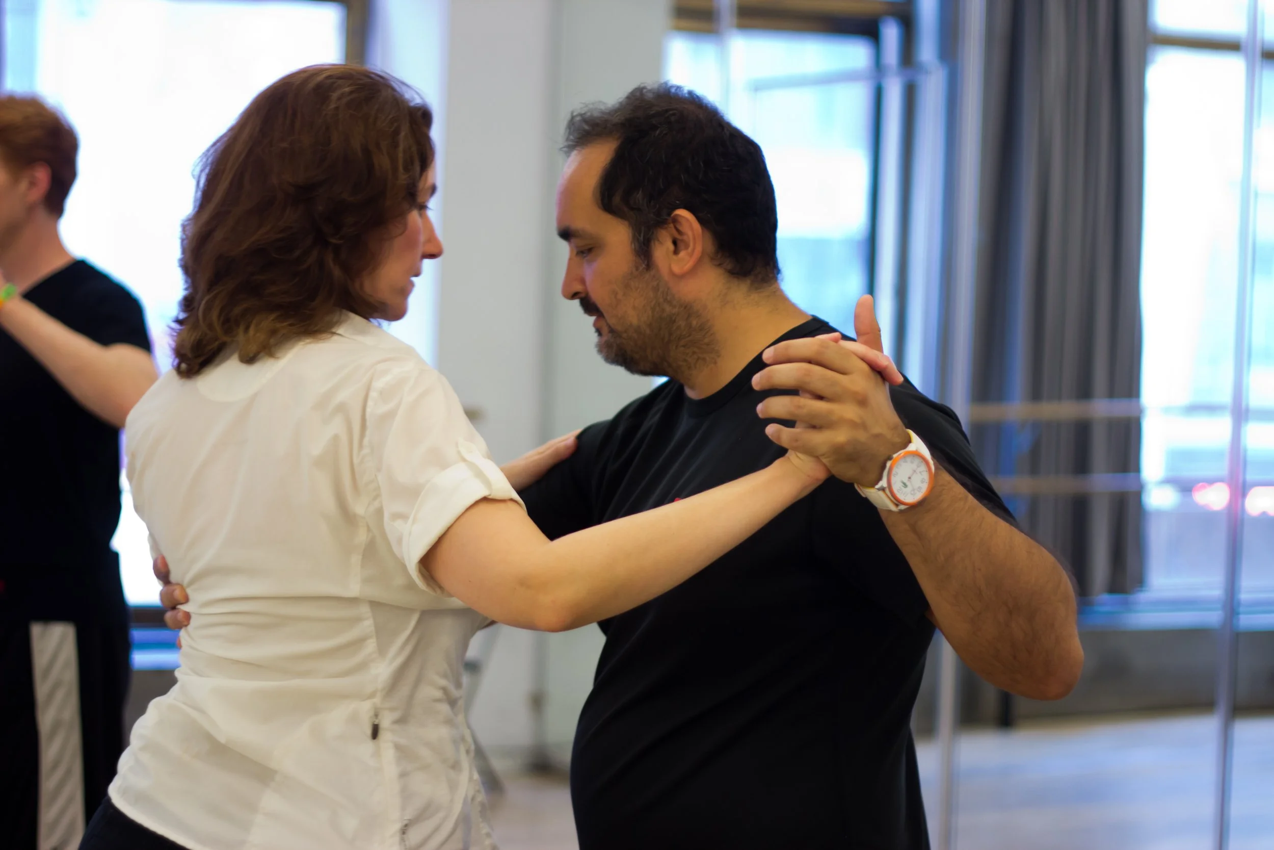 The International Partner Dance Intensive (TIPDI)