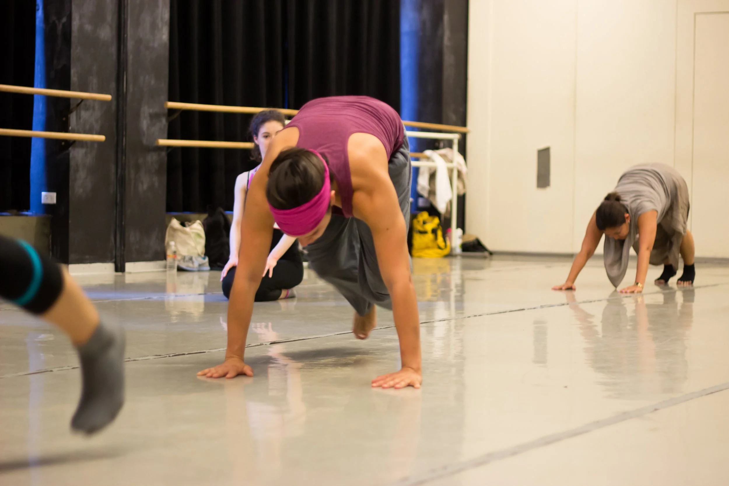 The International Partner Dance Intensive (TIPDI)