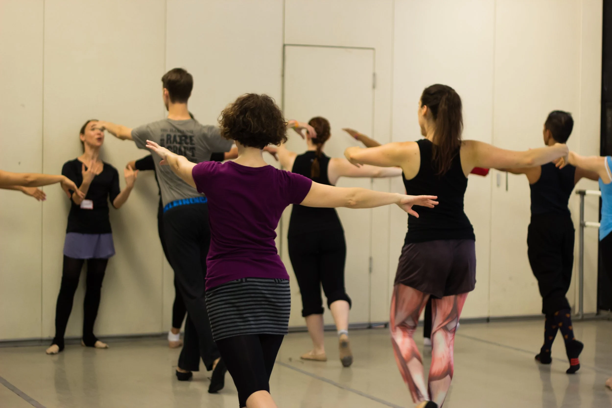 The International Partner Dance Intensive (TIPDI)