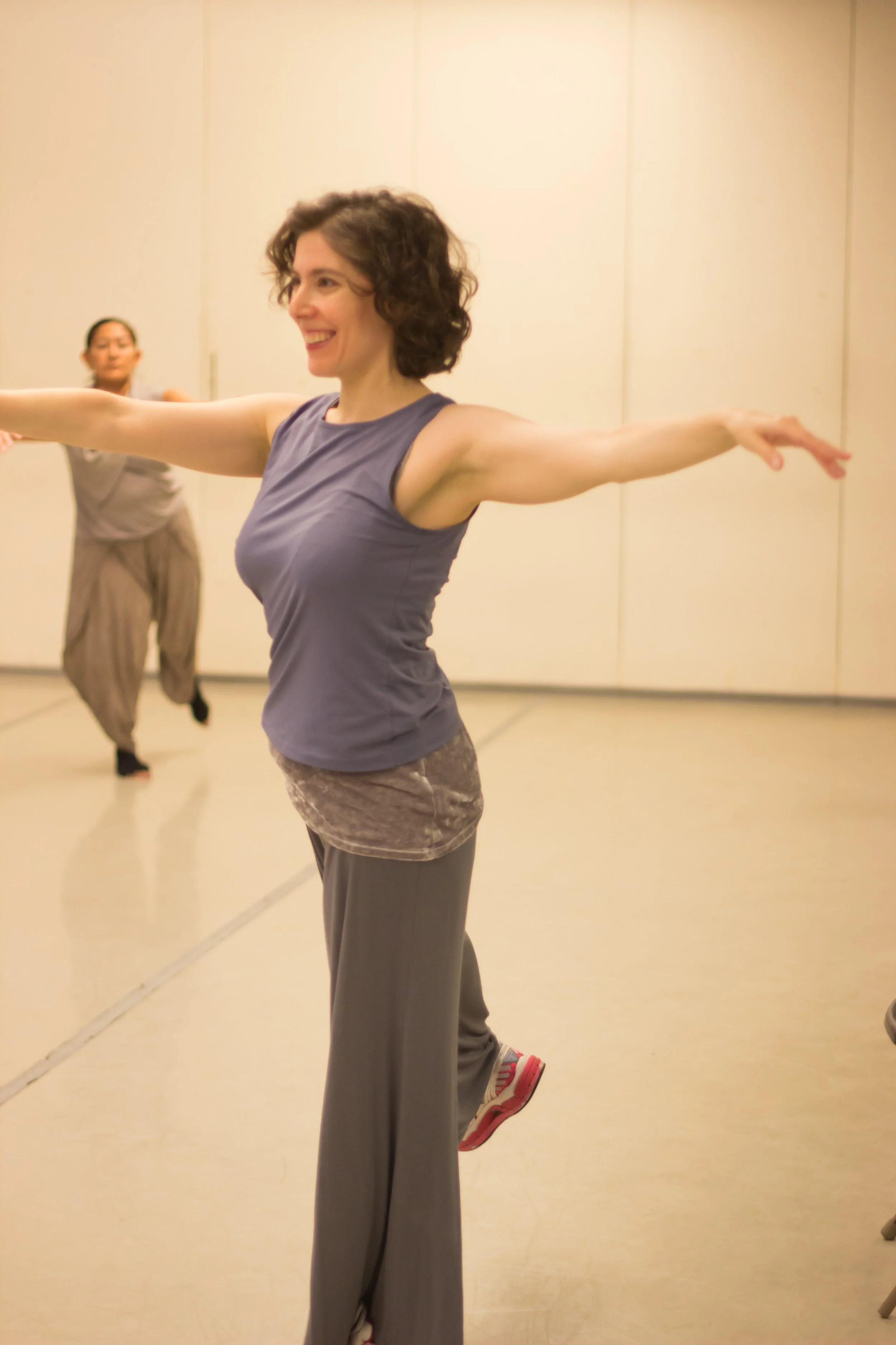 The International Partner Dance Intensive (TIPDI)