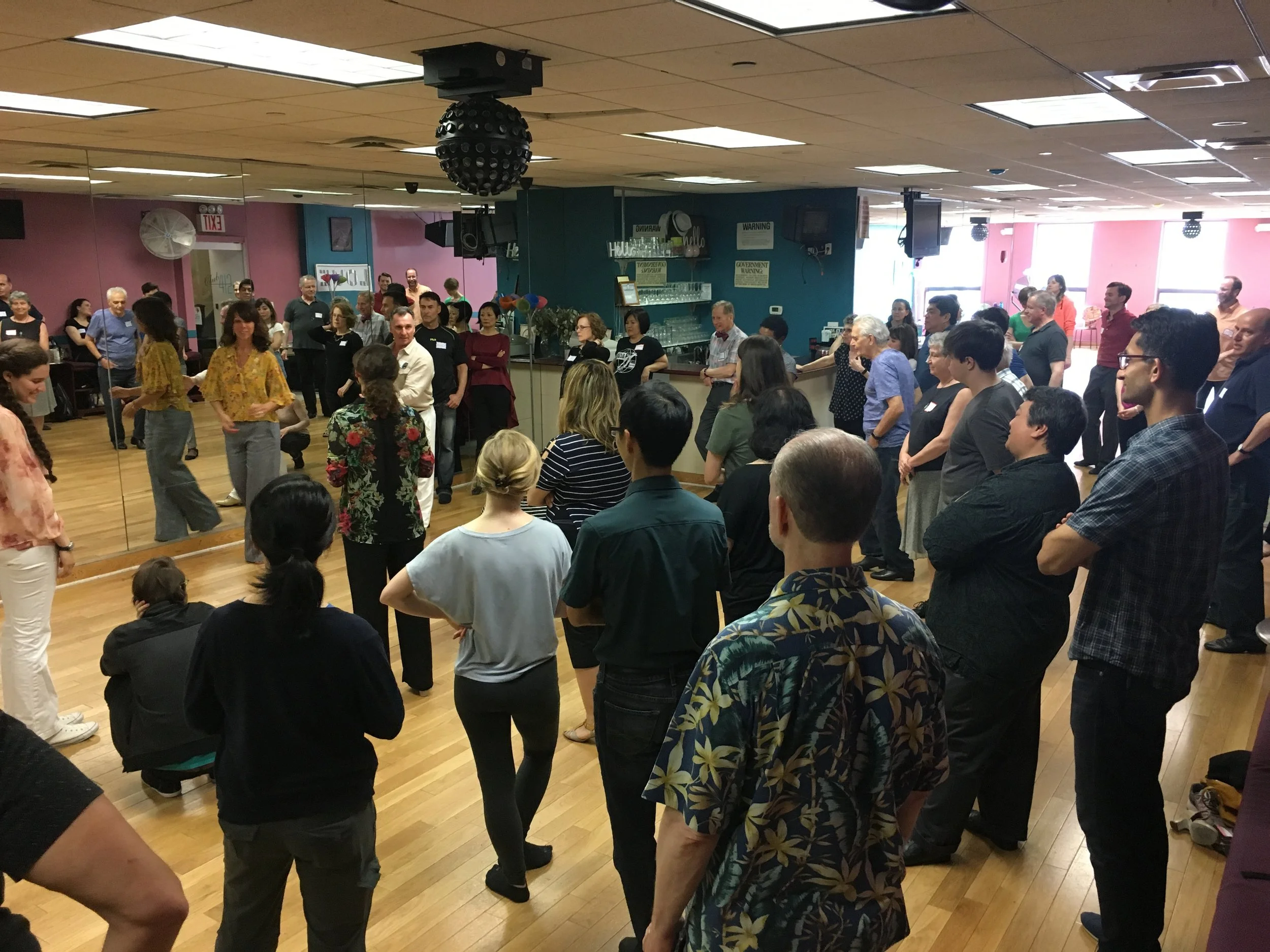 The International Partner Dance Intensive (TIPDI)