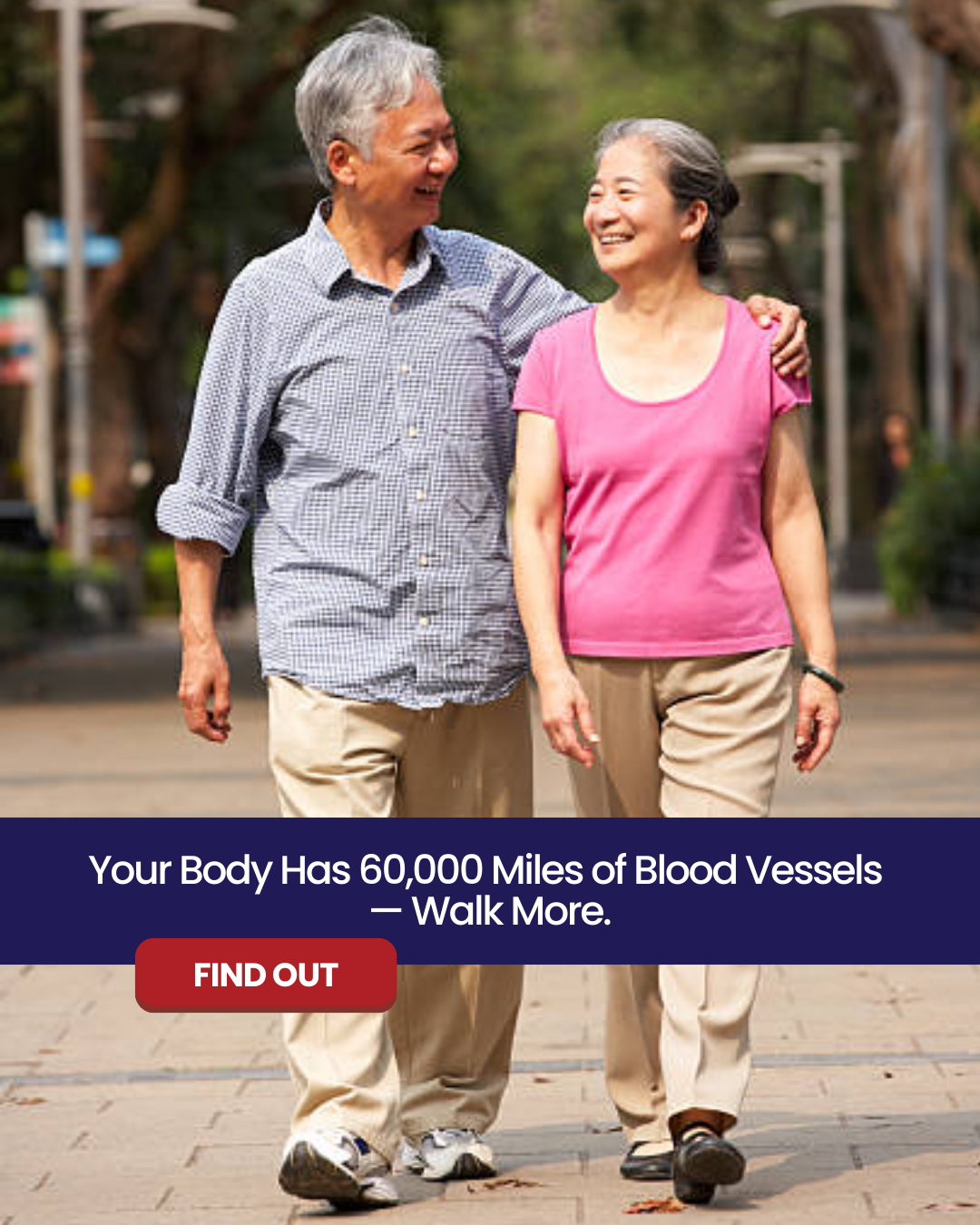 Your Body Has 60,000 Miles of Blood Vessels — Walk More.
