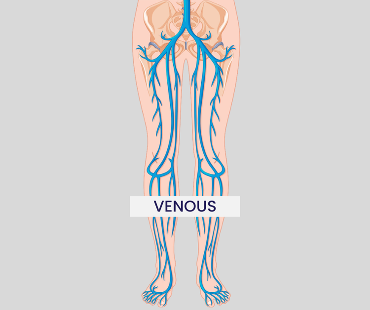 Texas Cardiac & Vascular Institute | Outpatient Vascular Specialists in ...