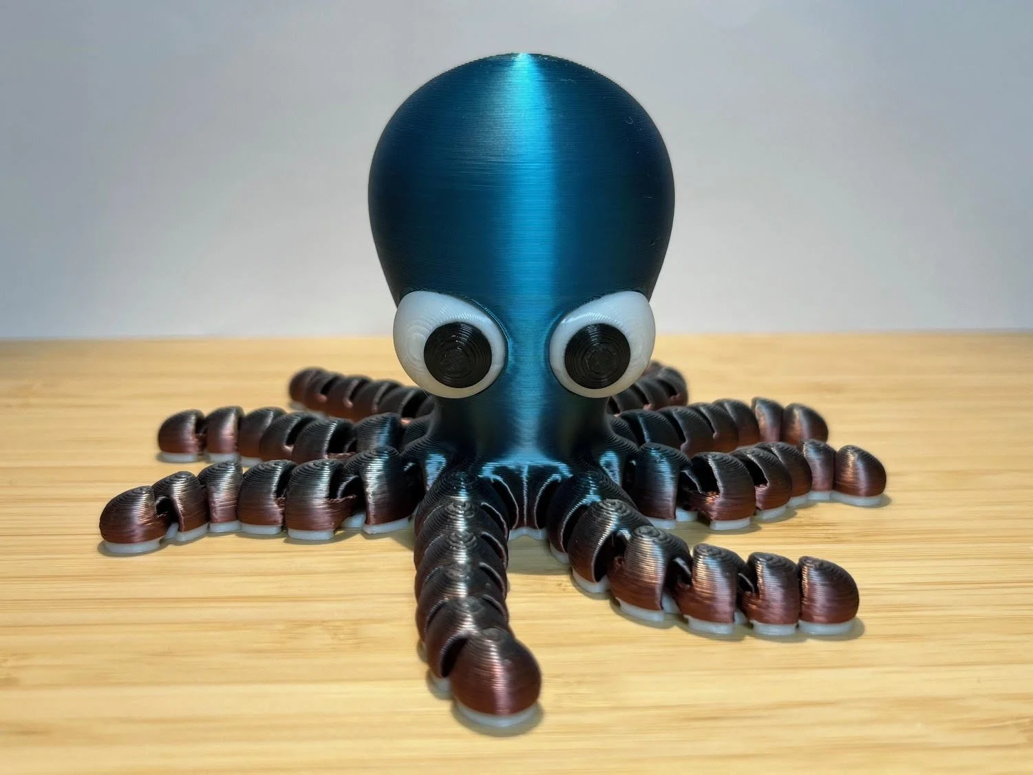 Octopus5.jpg