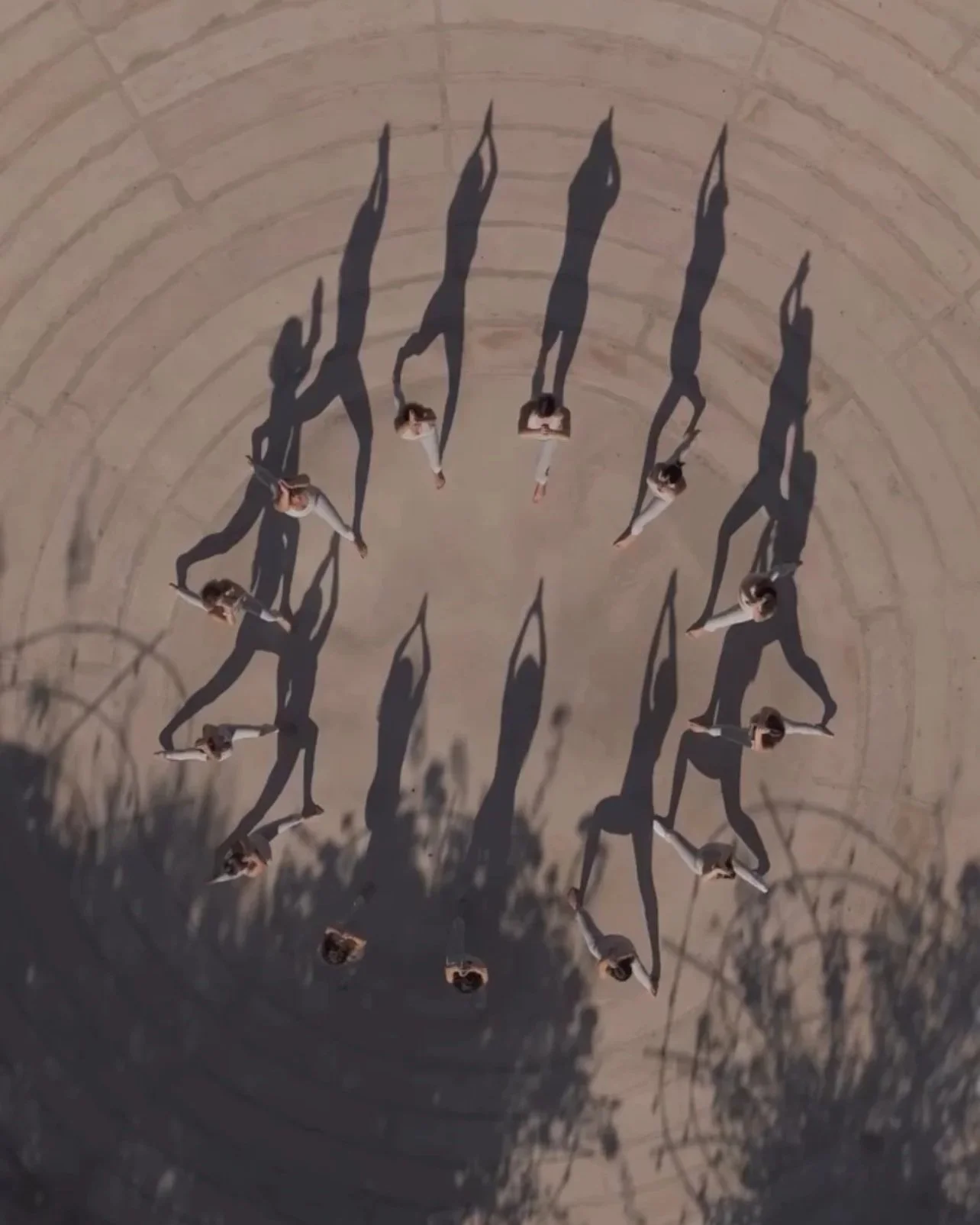 Top-down view of fifteen people standing in a circle on a concrete surface, casting long shadows.