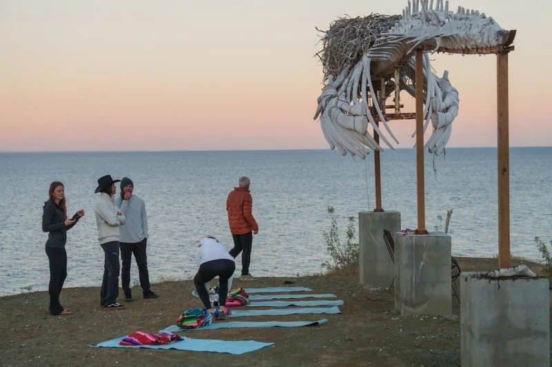A group of people standing near the ocean at sunset, with a whale skeleton sculpture on the right and towels on the ground, some people preparing to sit or lie down.