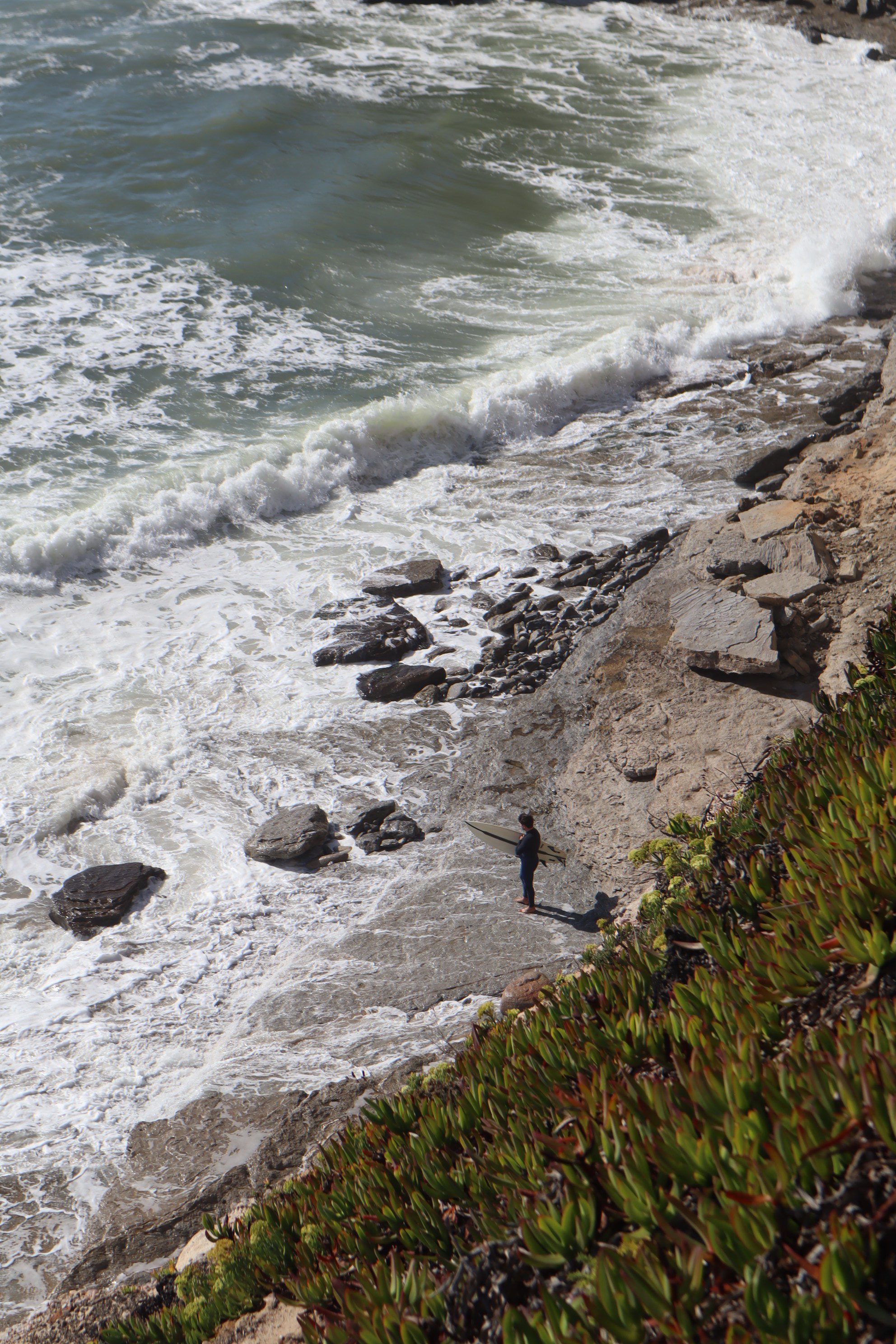 A person standing on a rocky beach holding a surfboard, with waves crashing against the shore and green plants in the foreground.