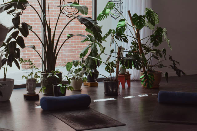A daily Yoga practice