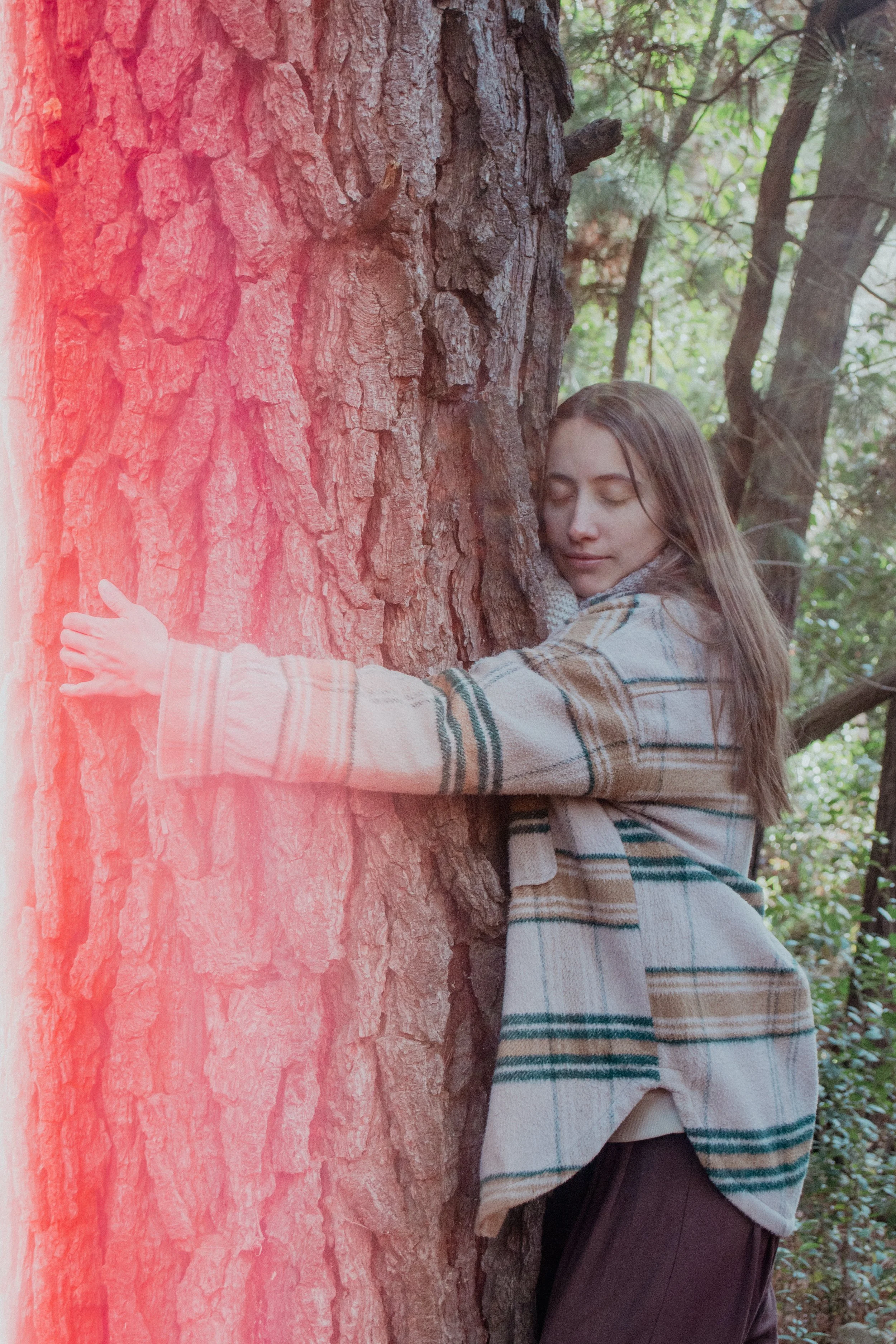 The way trees talk